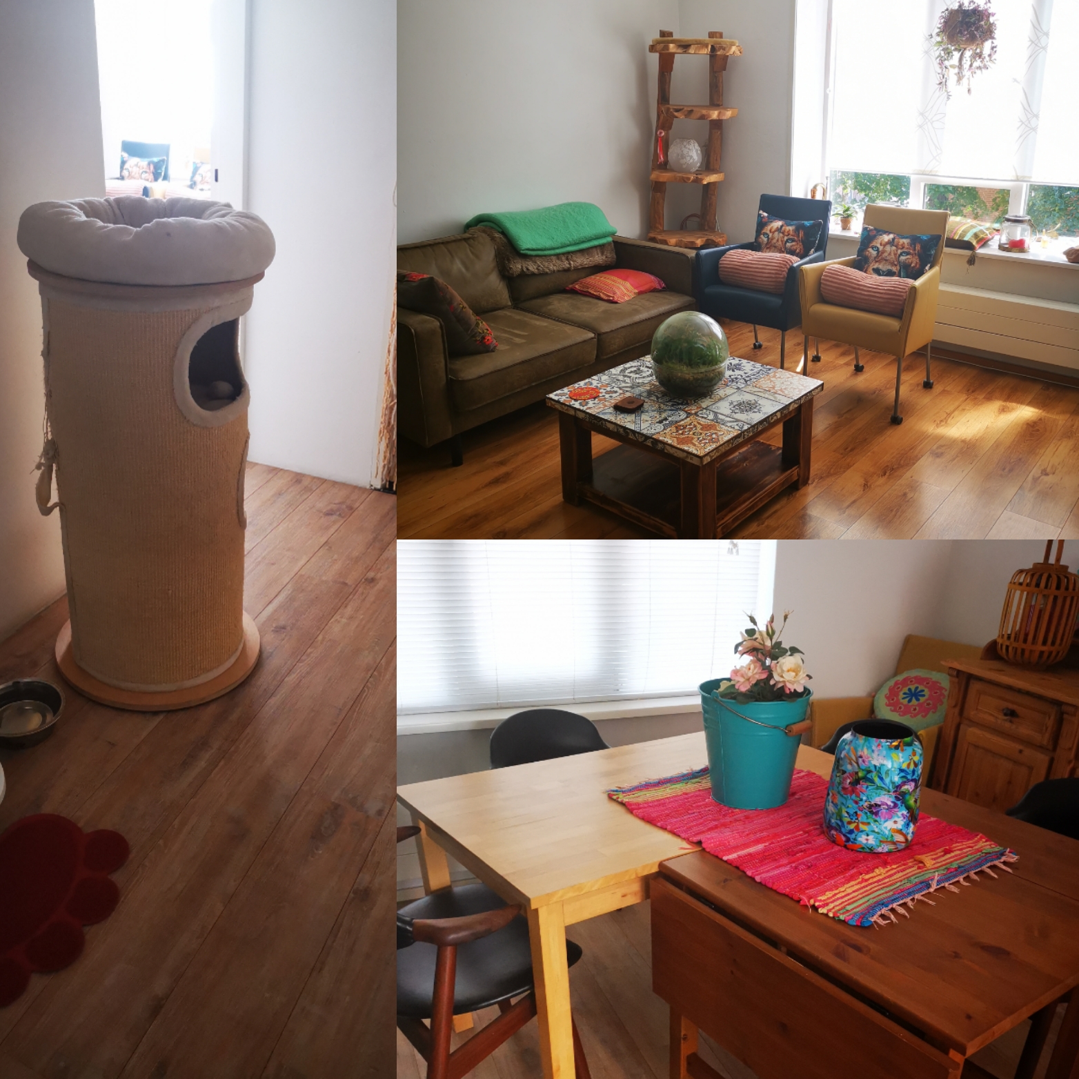 Alphonsusstraat 32, 5042 HM Tilburg, Nederland