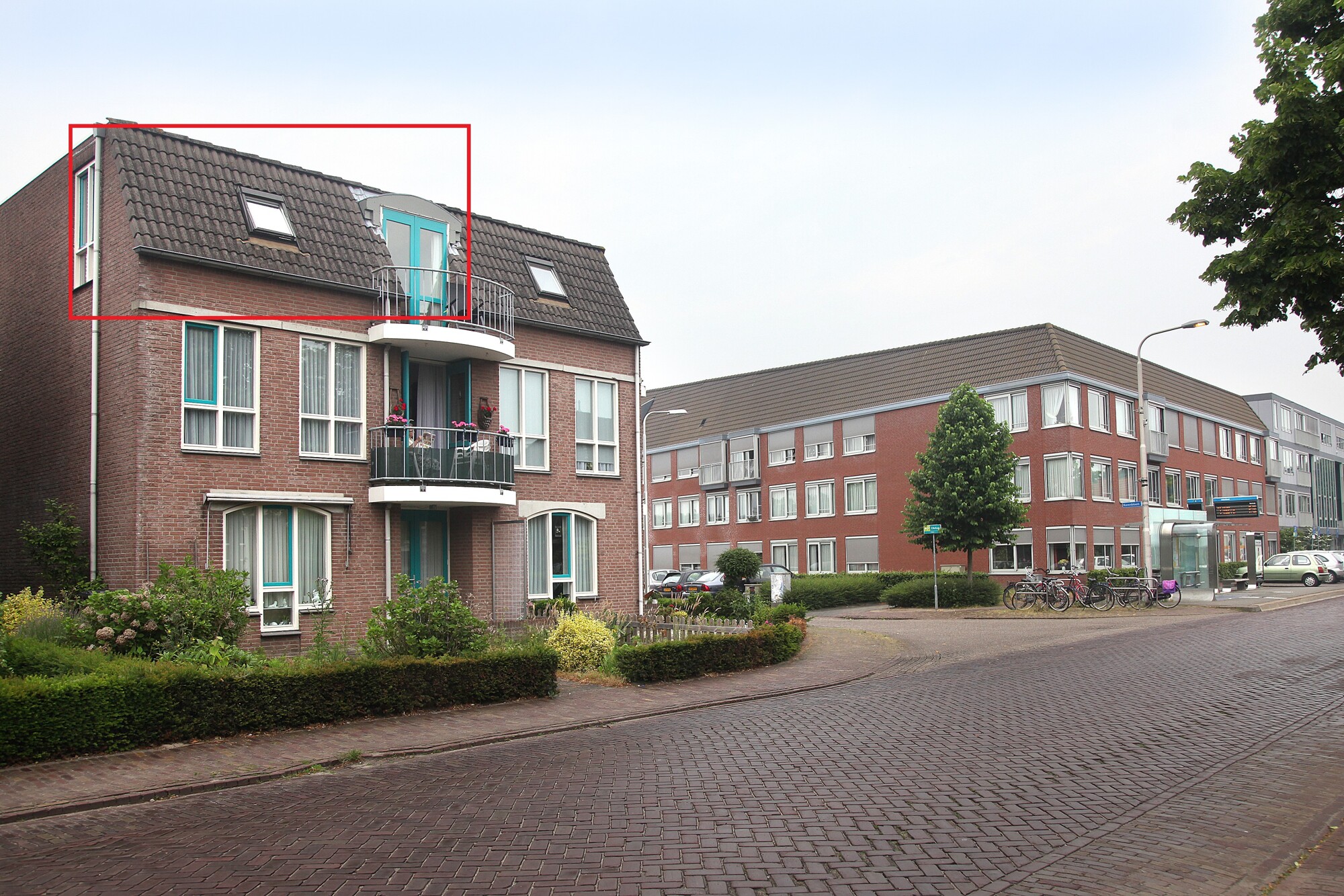 Korenbloem 3-B