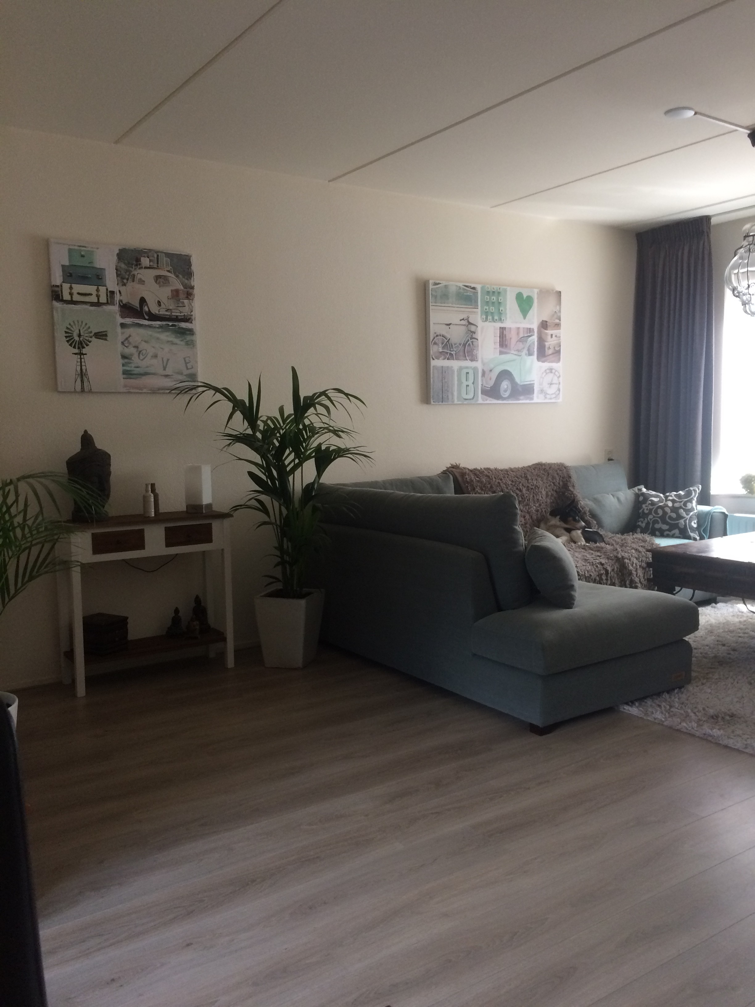 Schuttersveld 10, 5103 HB Dongen, Nederland