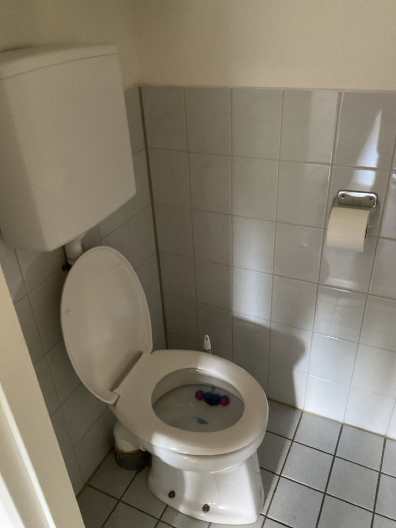 van de Merwedelaan 5