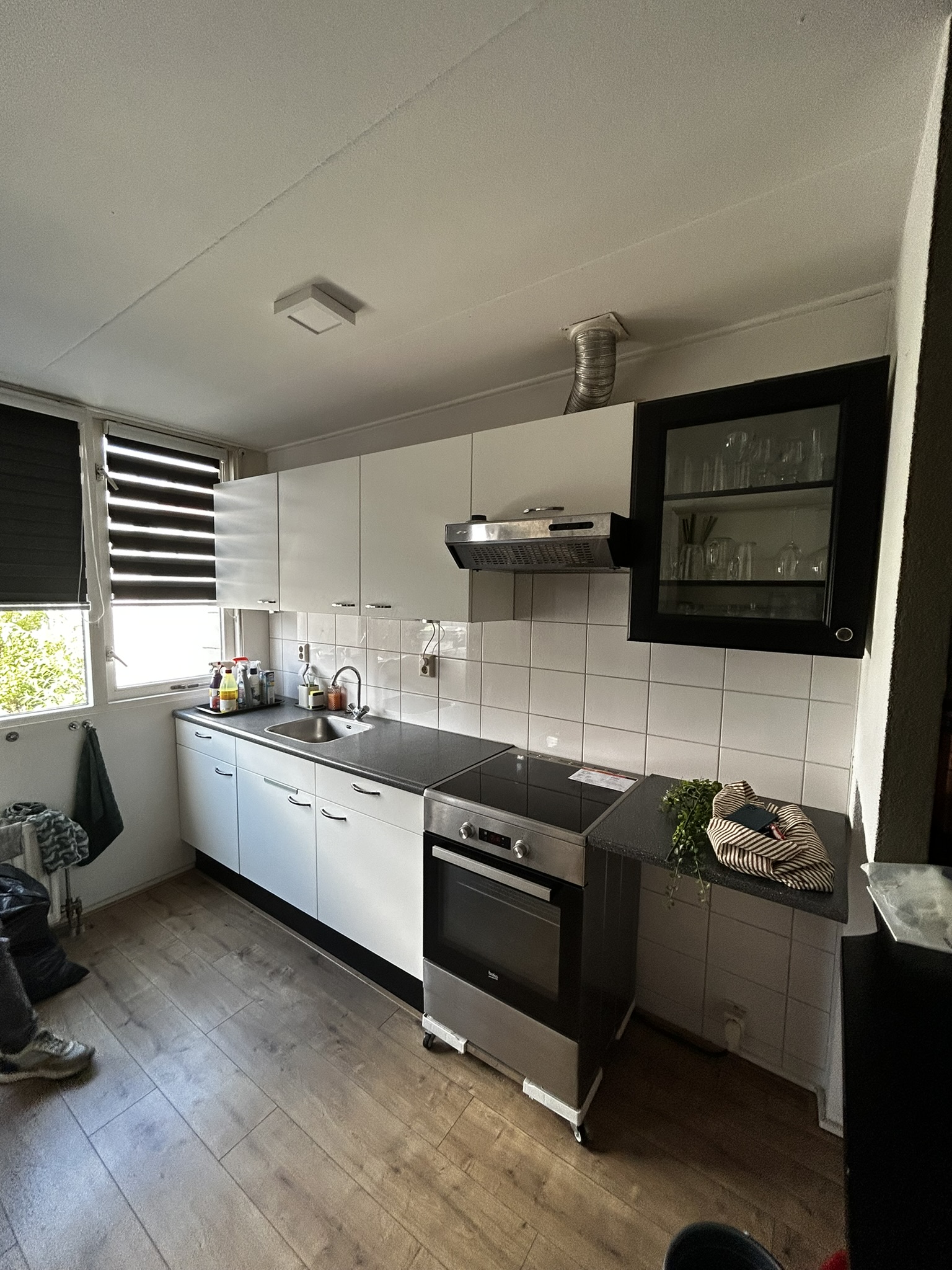 Tulpstraat 19