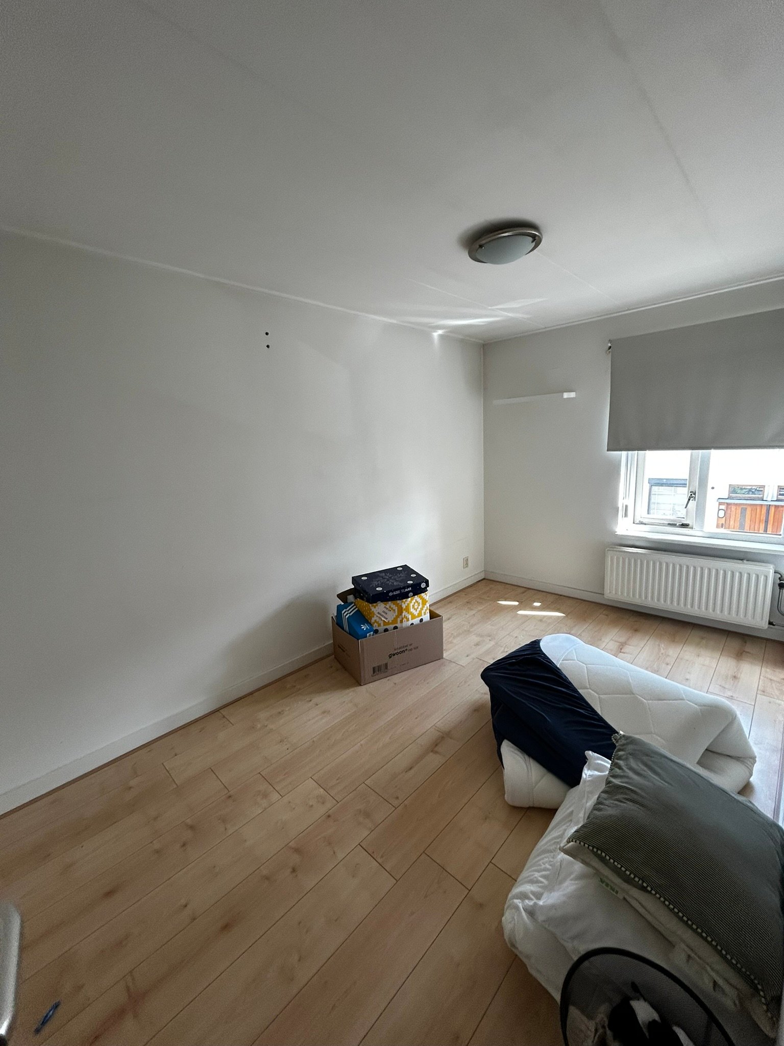 Tulpstraat 19