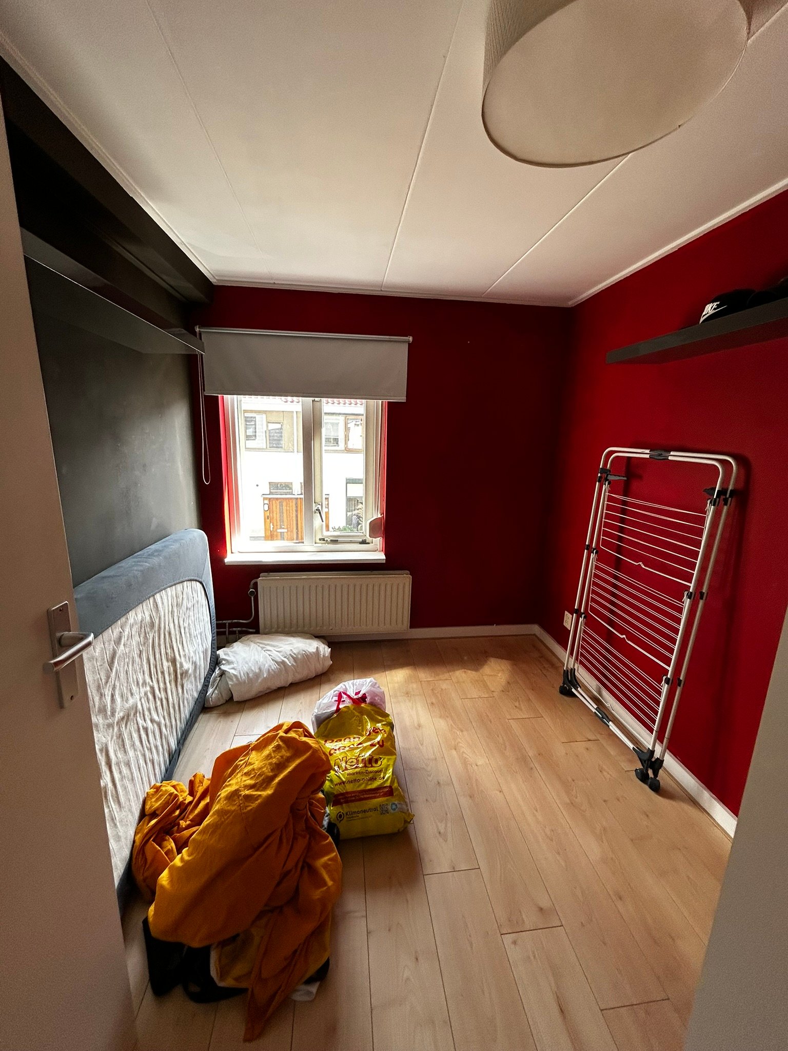 Tulpstraat 19