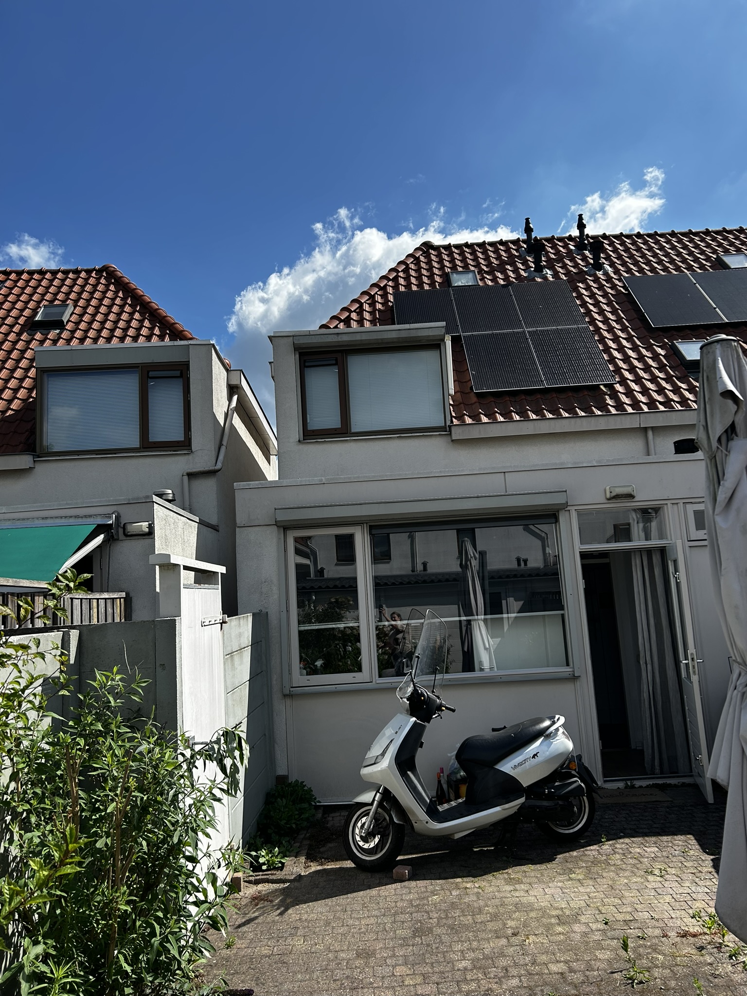 Tulpstraat 19