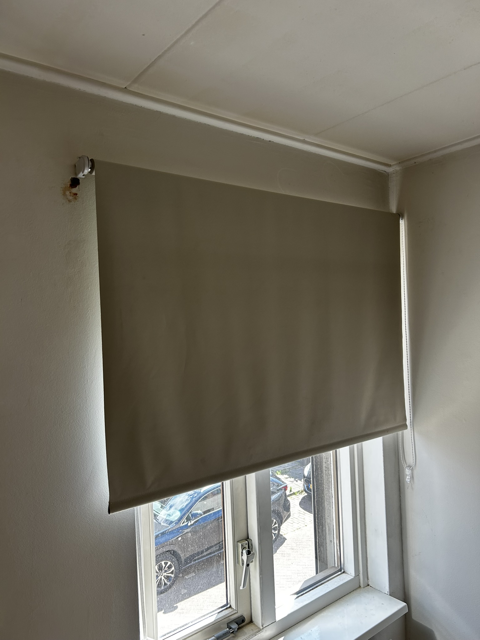 Tulpstraat 19
