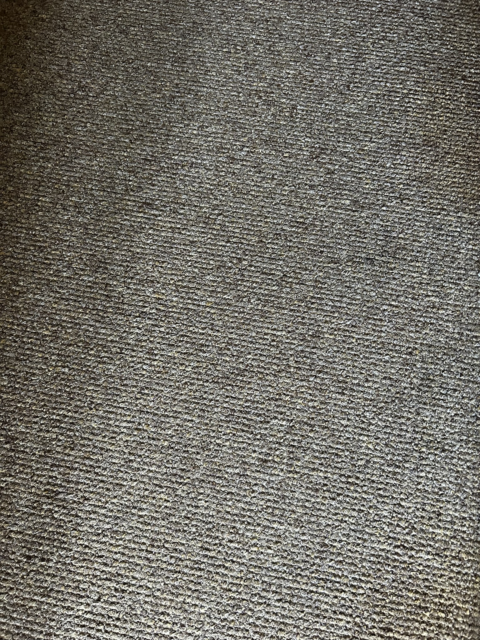 Tulpstraat 19