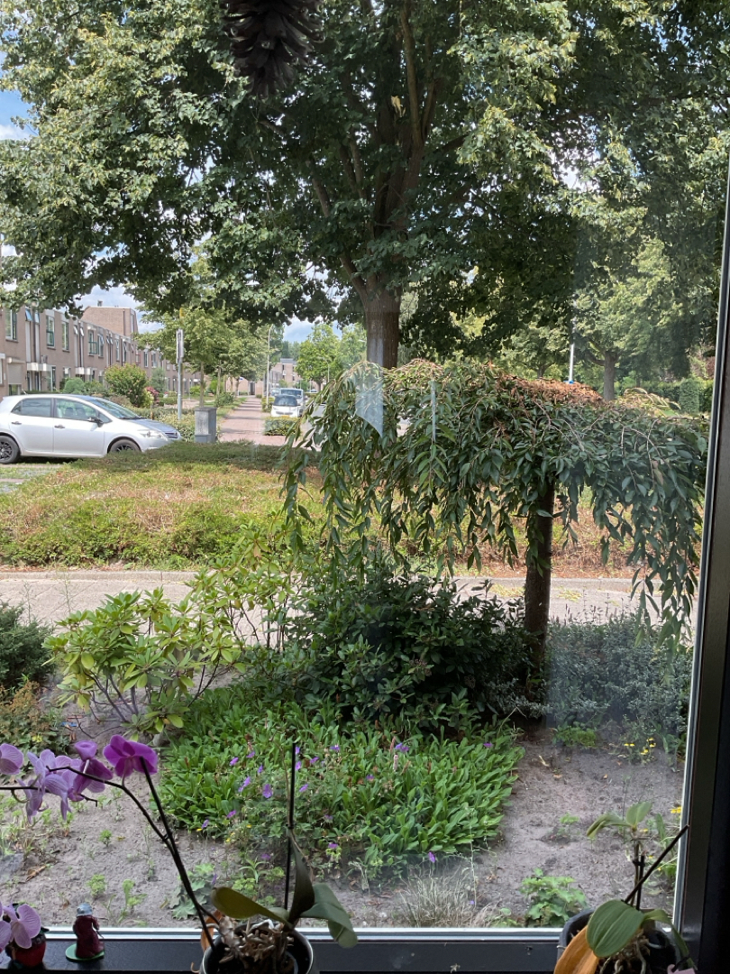 Burgemeester Teijssenlaan 58