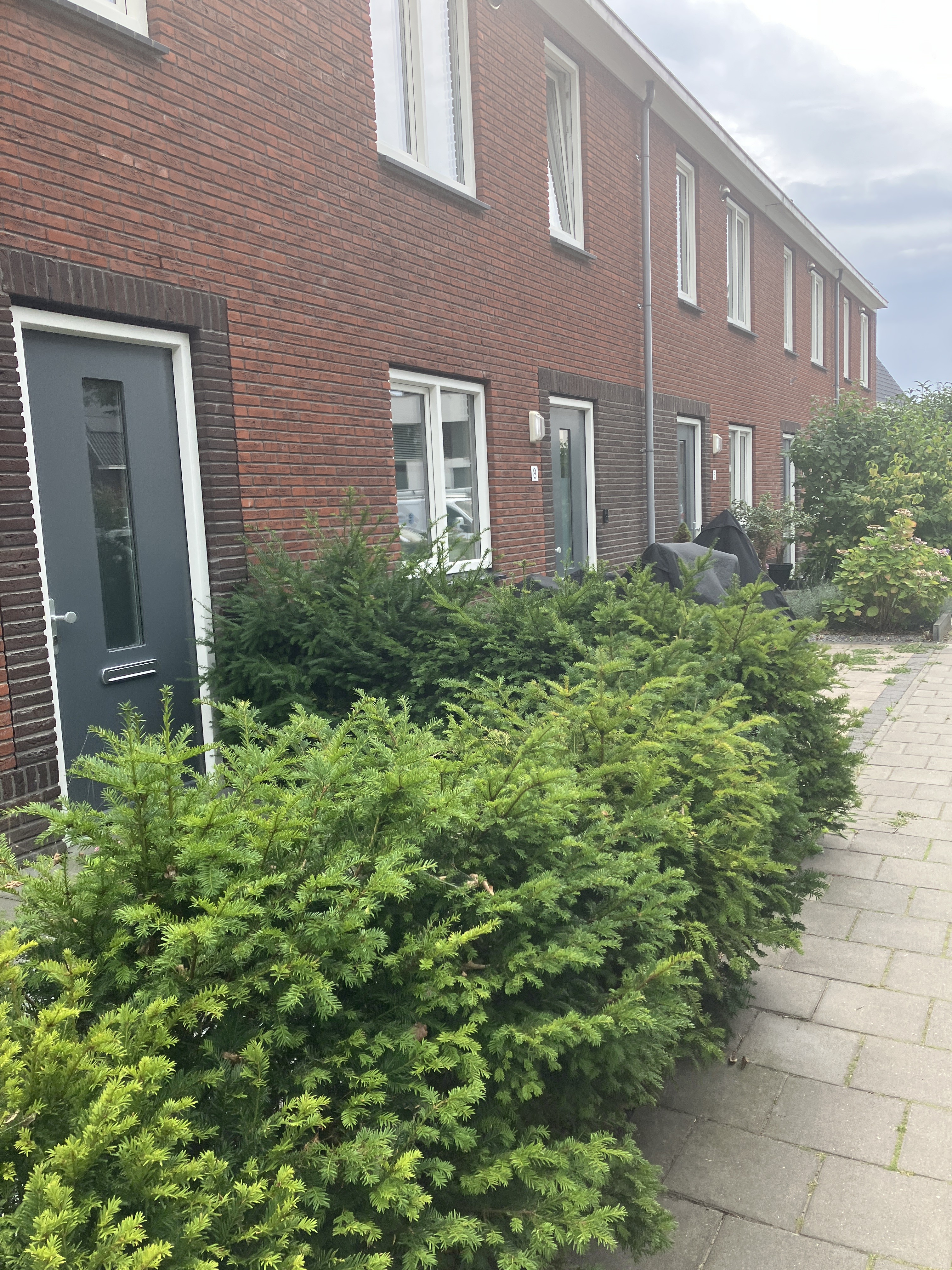 Annie M.G. Schmidtplein 12