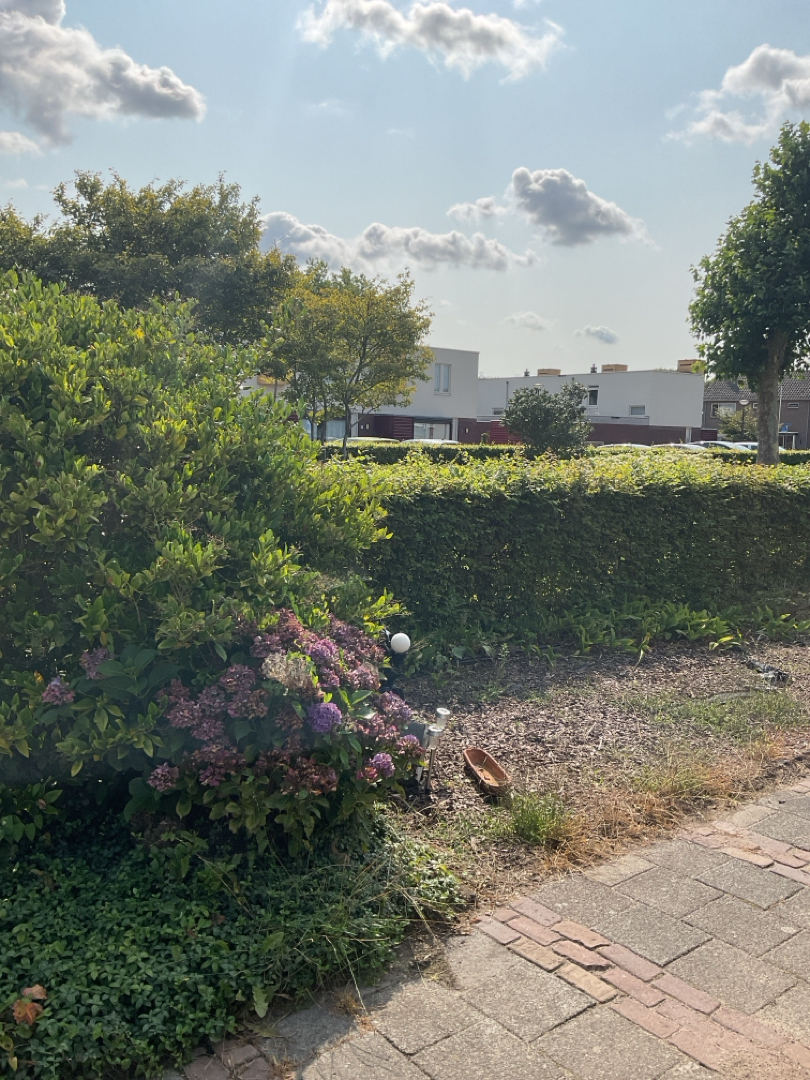 Burgemeester Meijerstraat 40