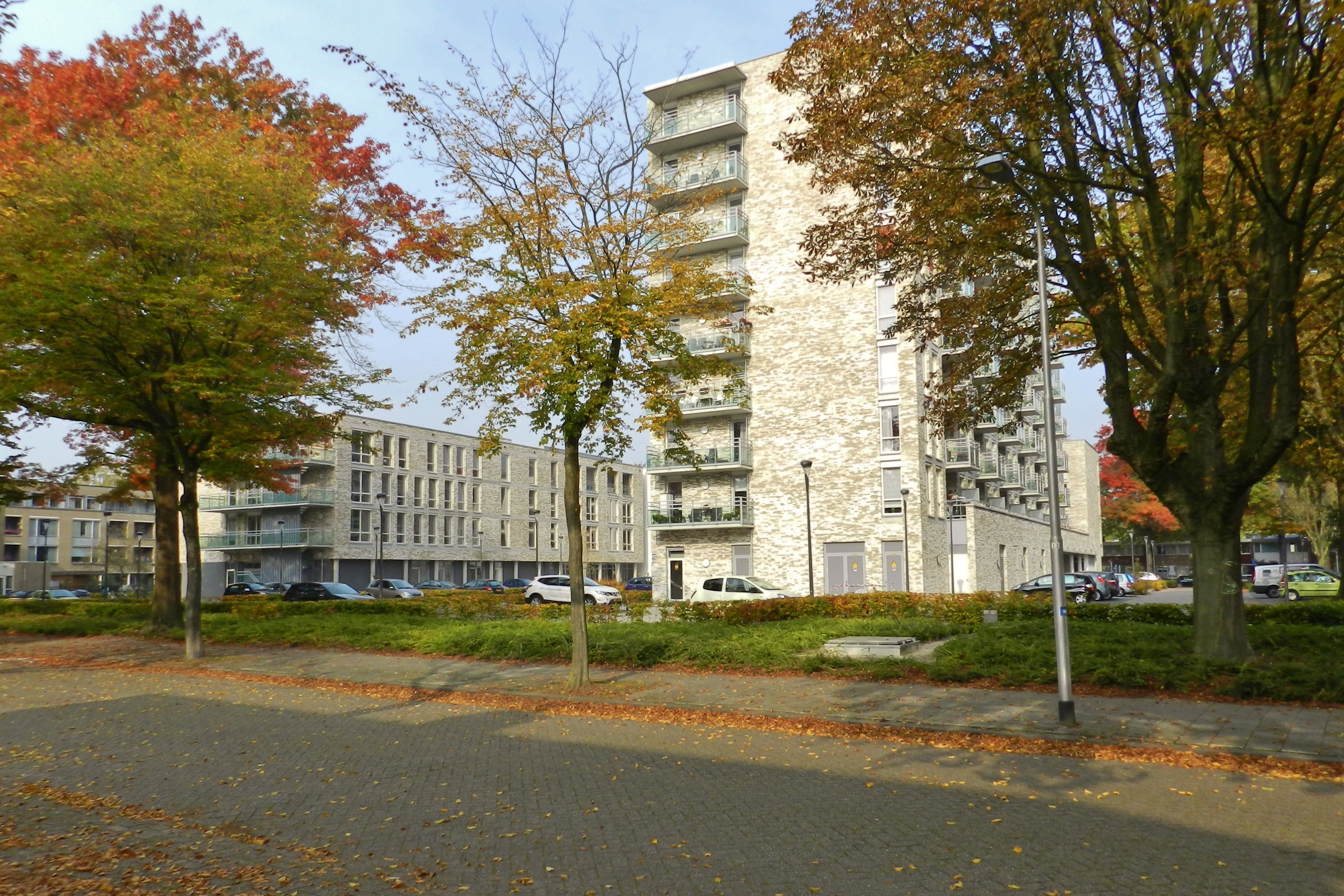 Professor Gimbrèrelaan 22