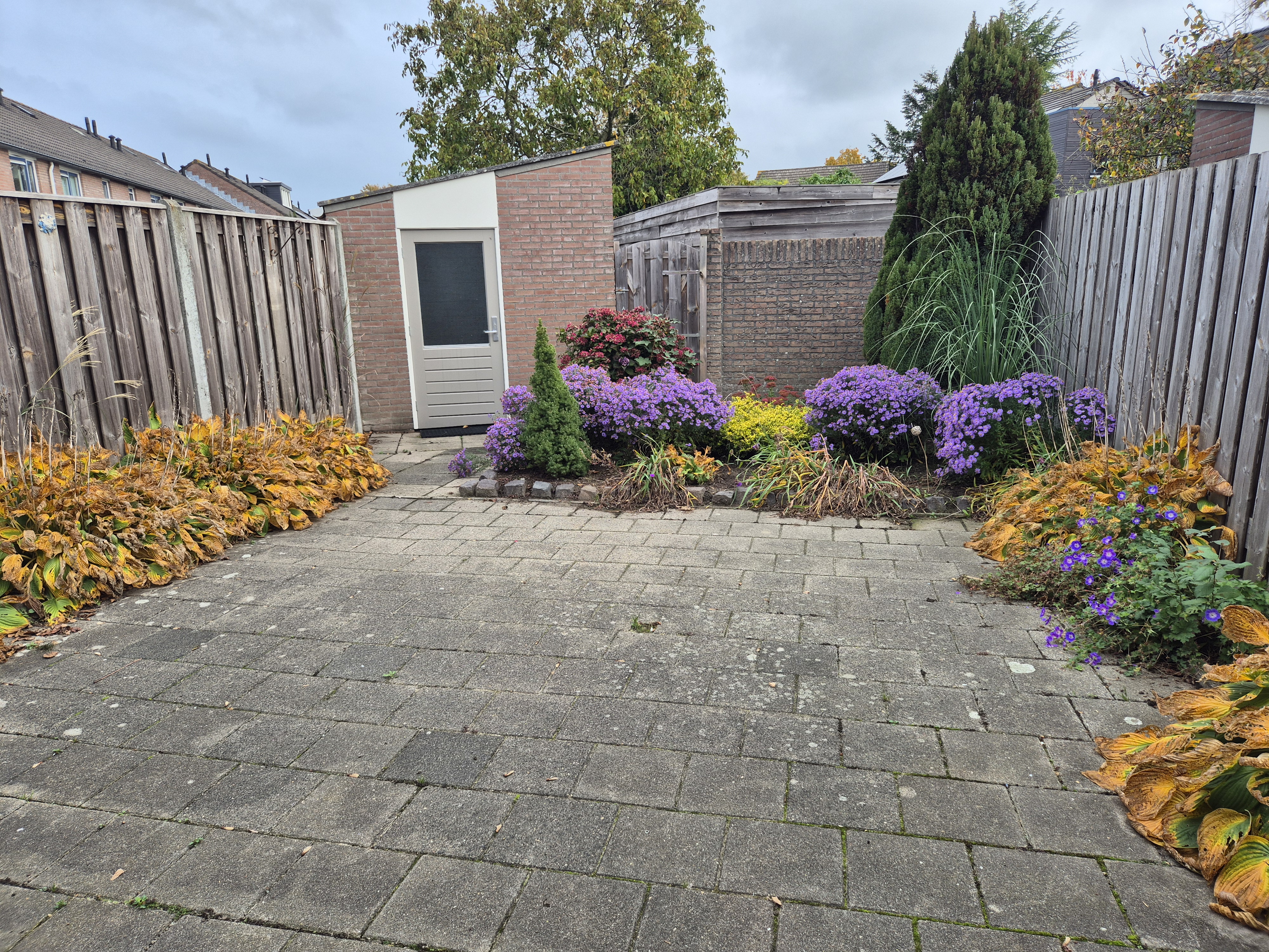 Van Heinsbergstraat 52