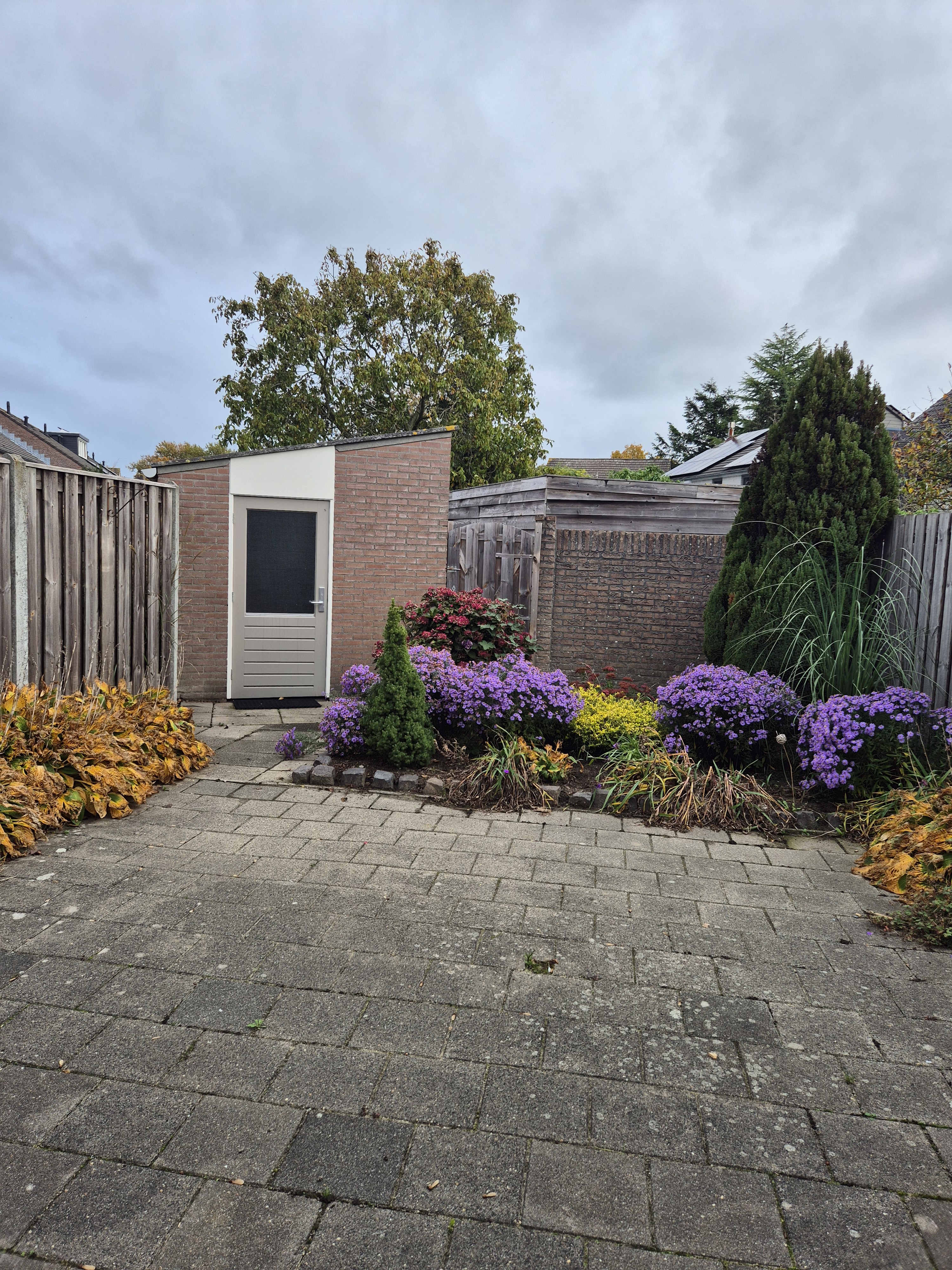 Van Heinsbergstraat 52