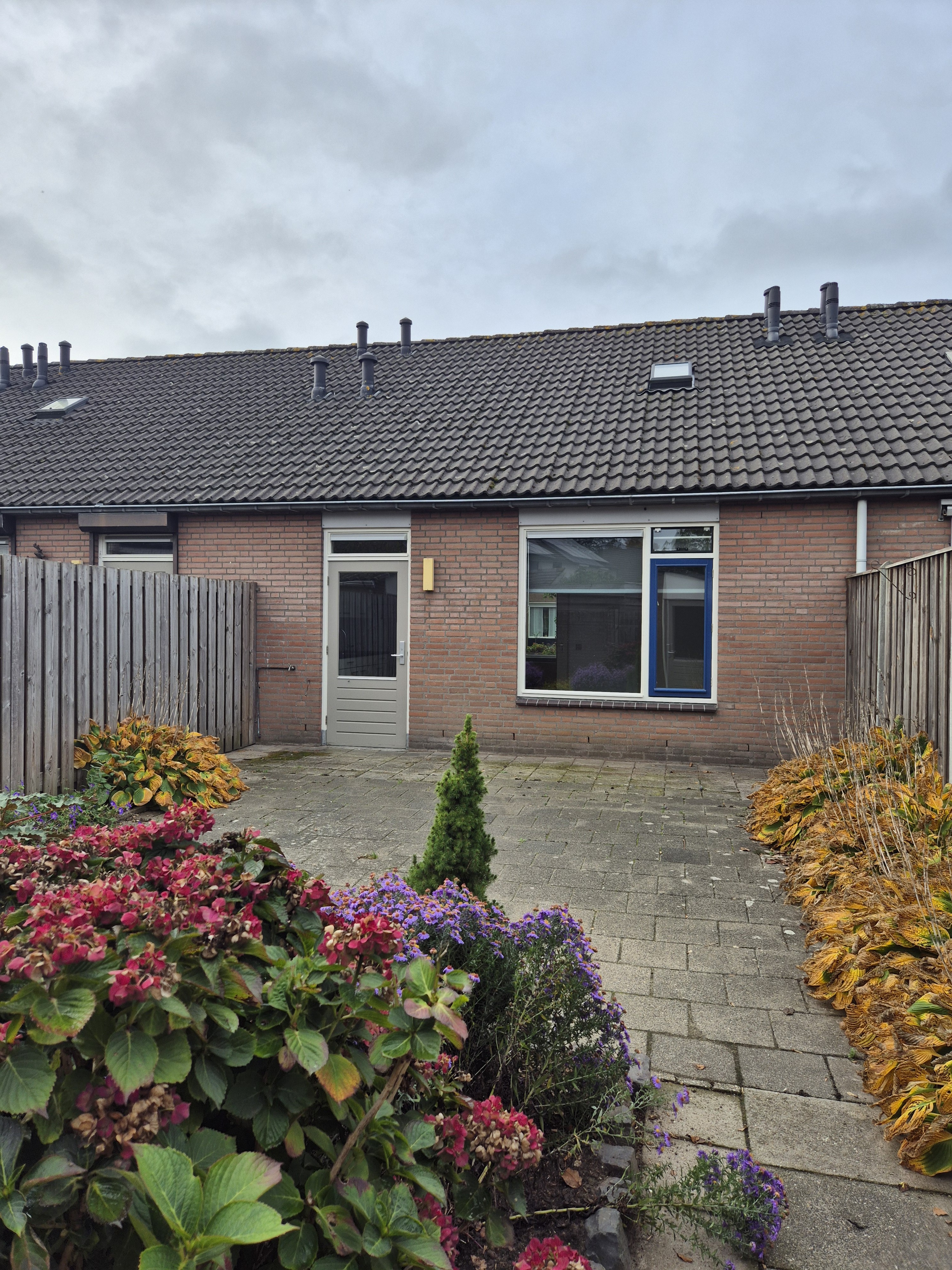 Van Heinsbergstraat 52