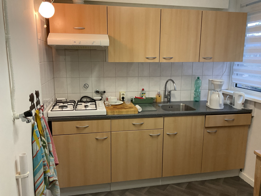 Professor de Savornin Lohmanpark 18