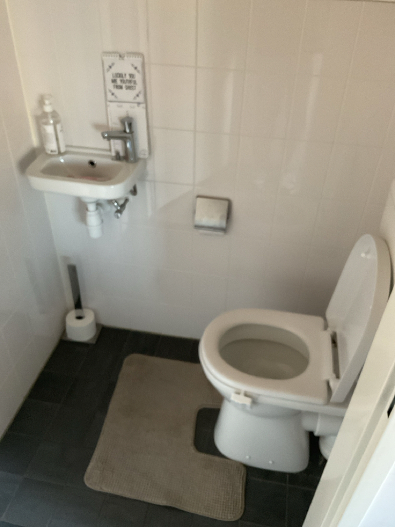 Anton Pieckplein 124