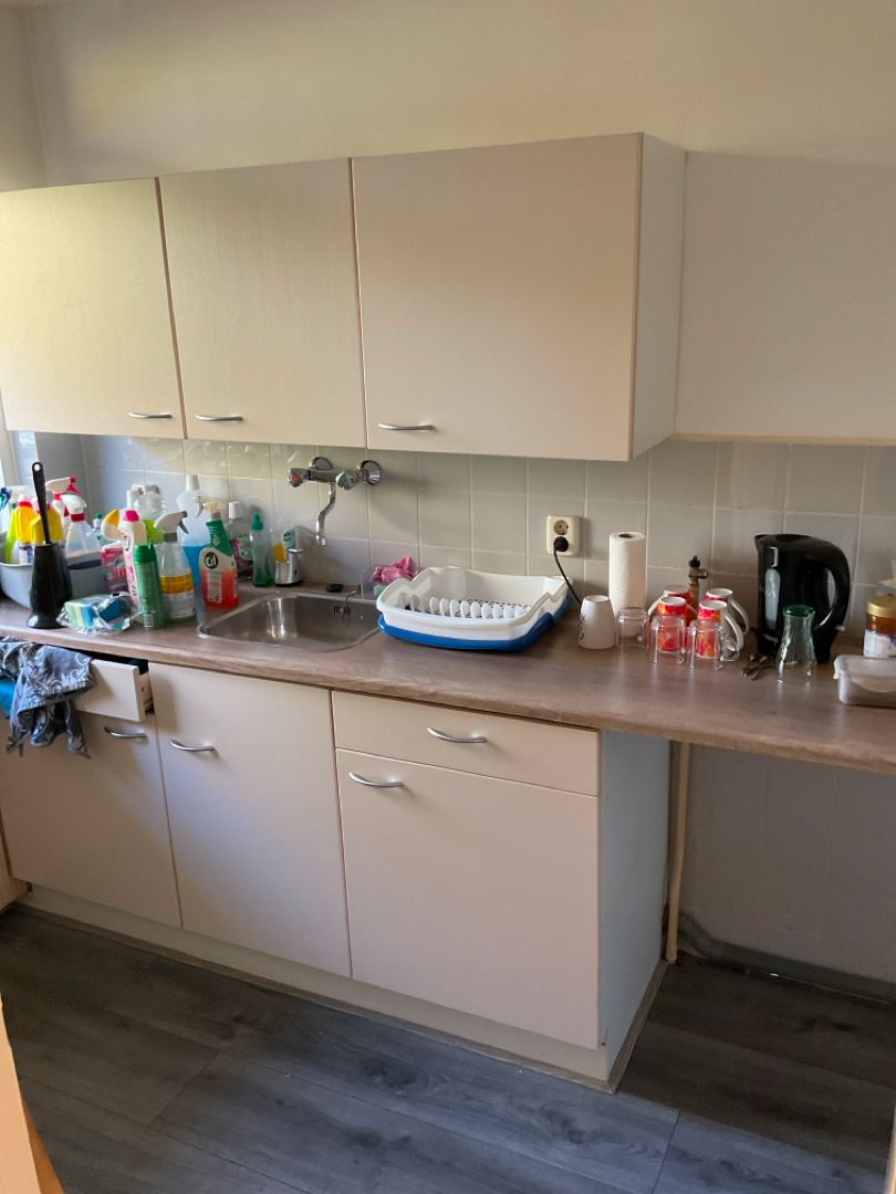 Hart van Brabantlaan 599