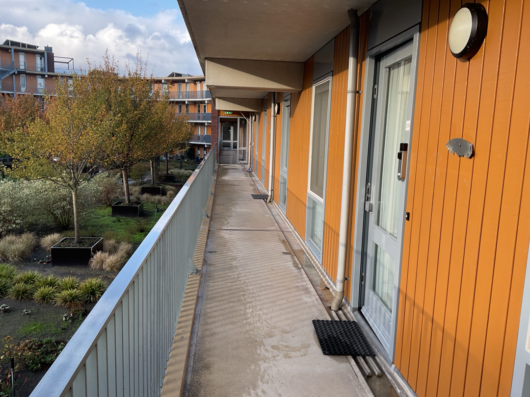 Villa Waterranonkel 205