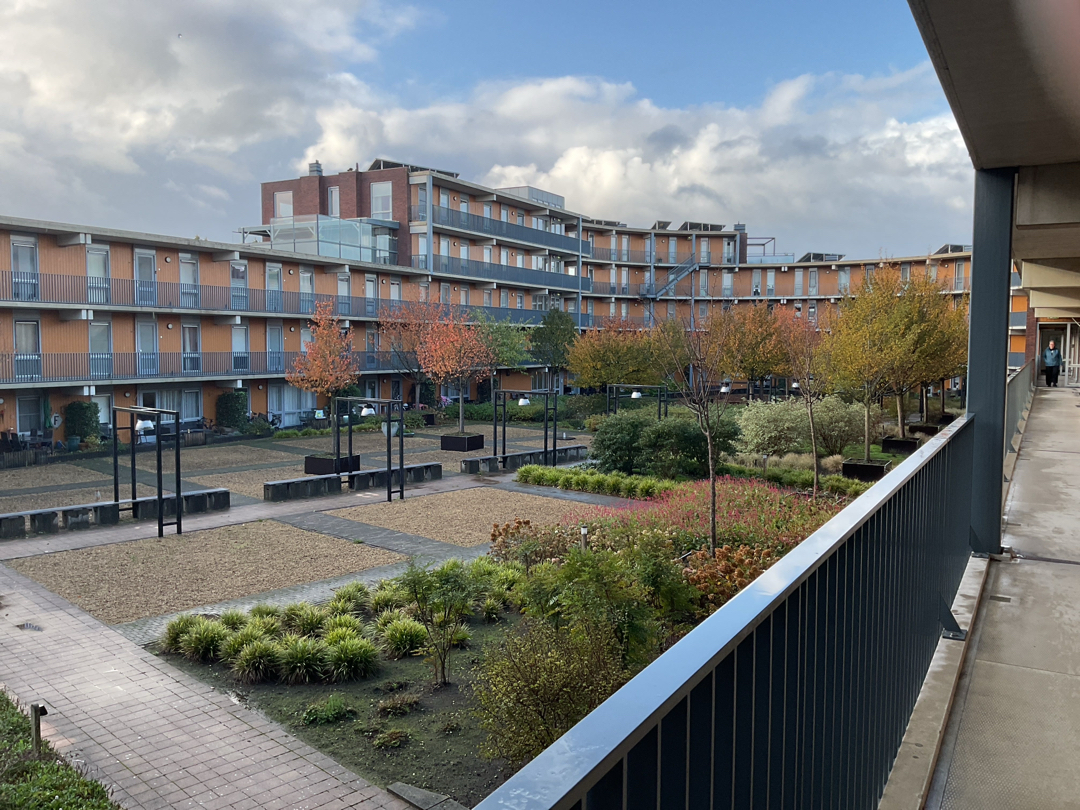 Villa Waterranonkel 205