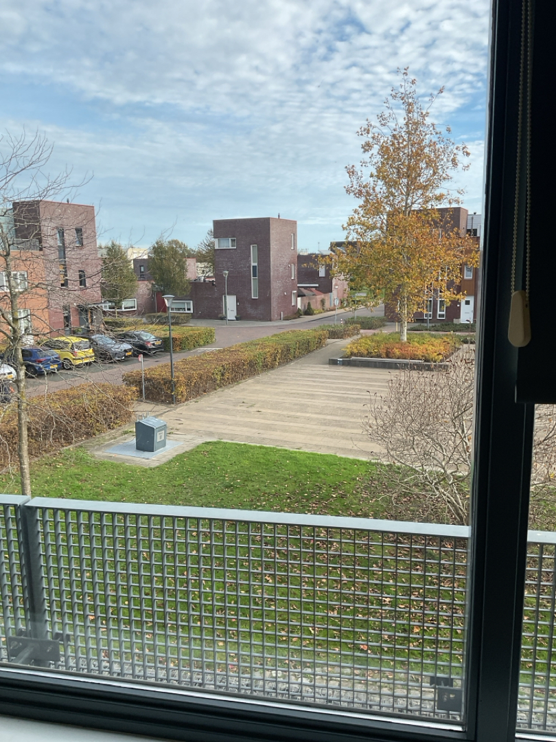 Villa Waterranonkel 209