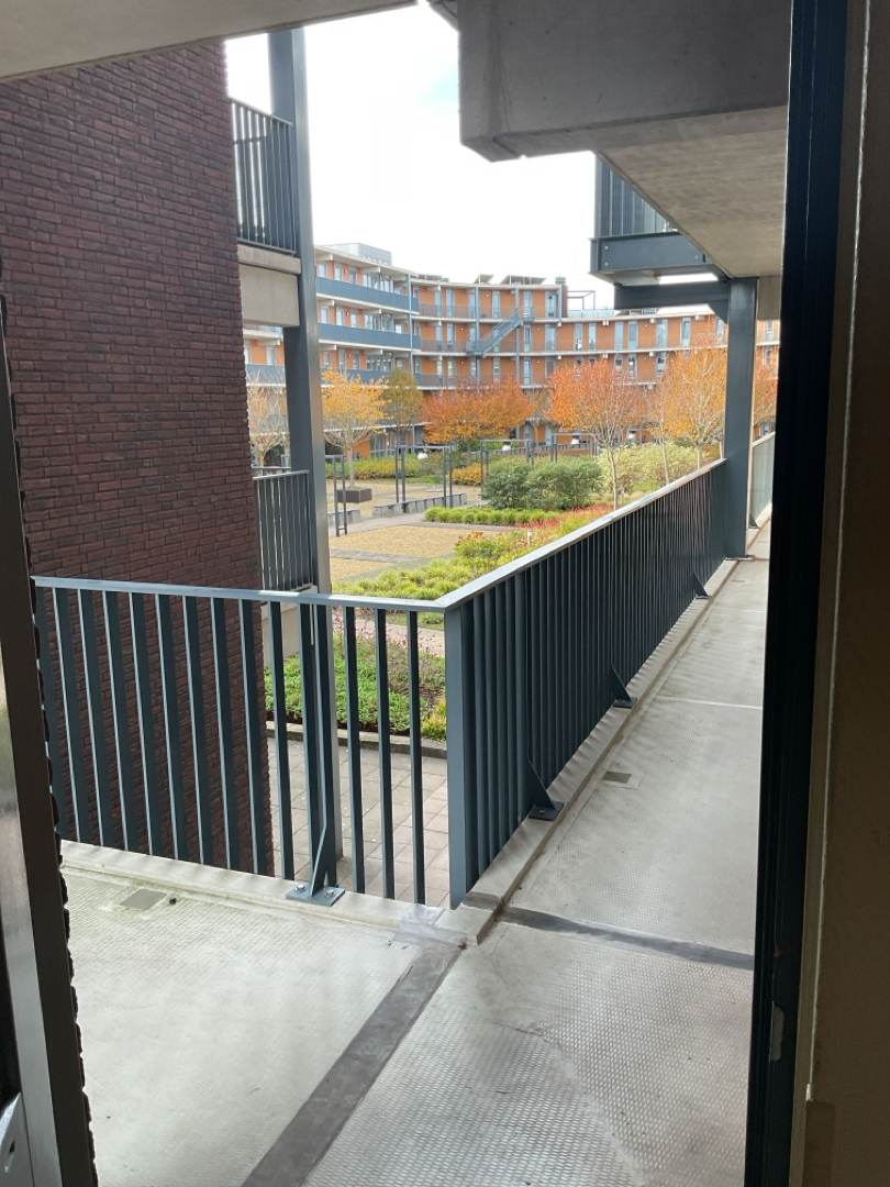 Villa Waterranonkel 209