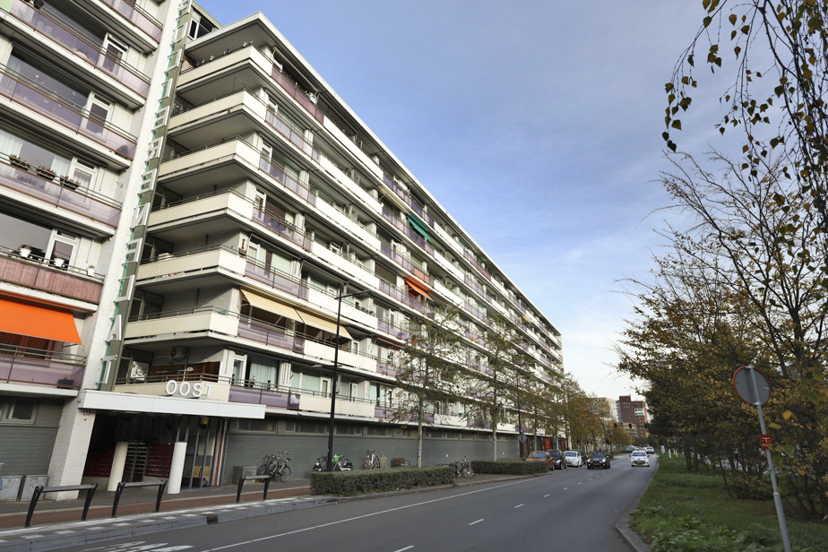 Hart van Brabantlaan 363