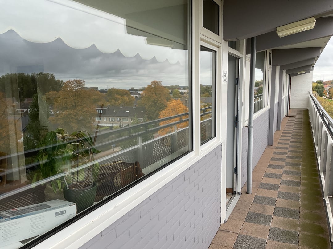 Professor de Savornin Lohmanpark 55