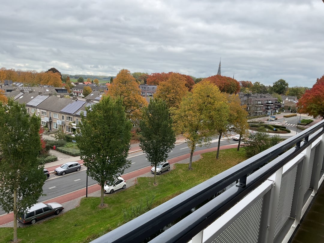 Professor de Savornin Lohmanpark 55