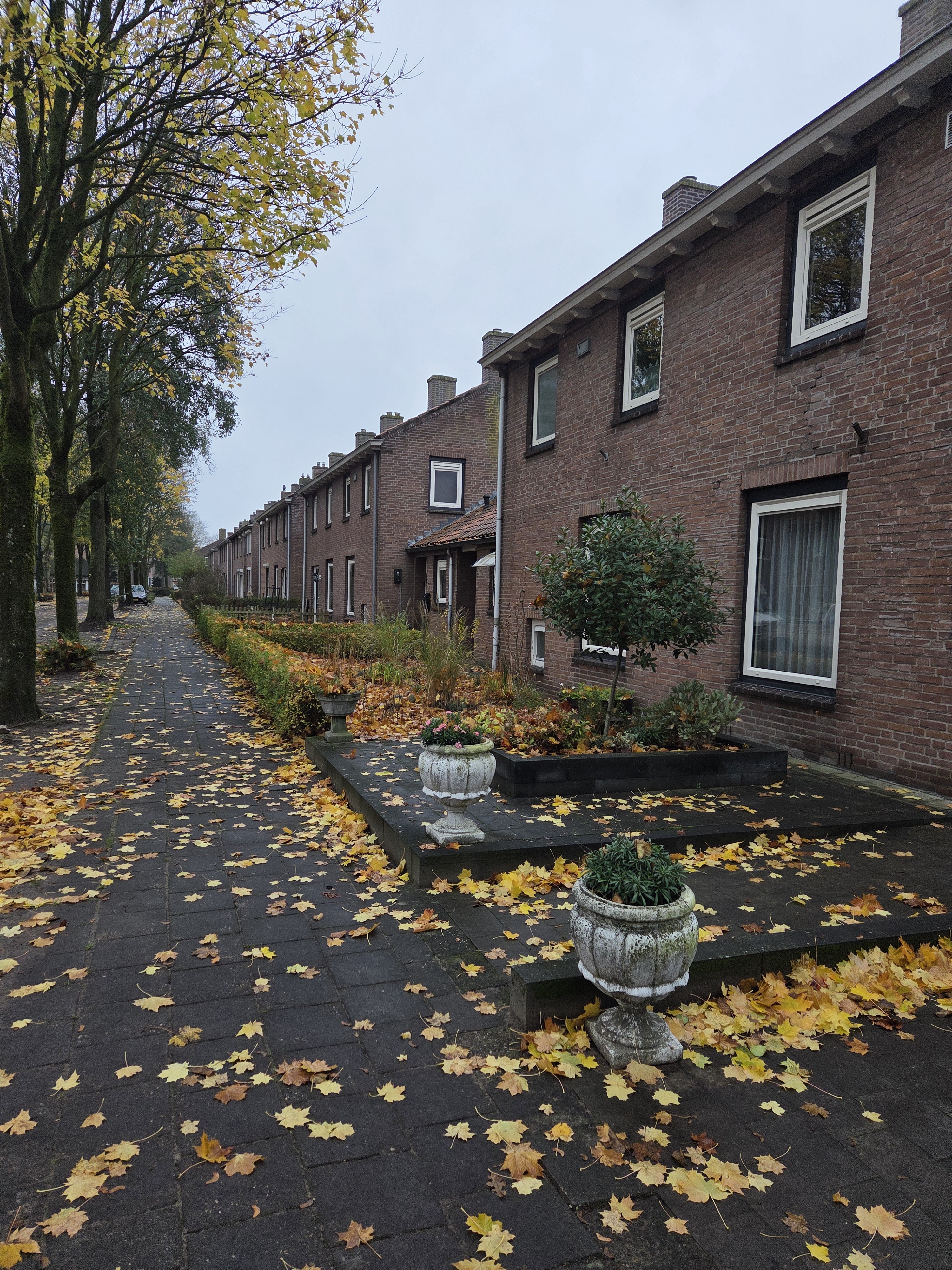 Wethouder van Den Wildenbergstraat 57