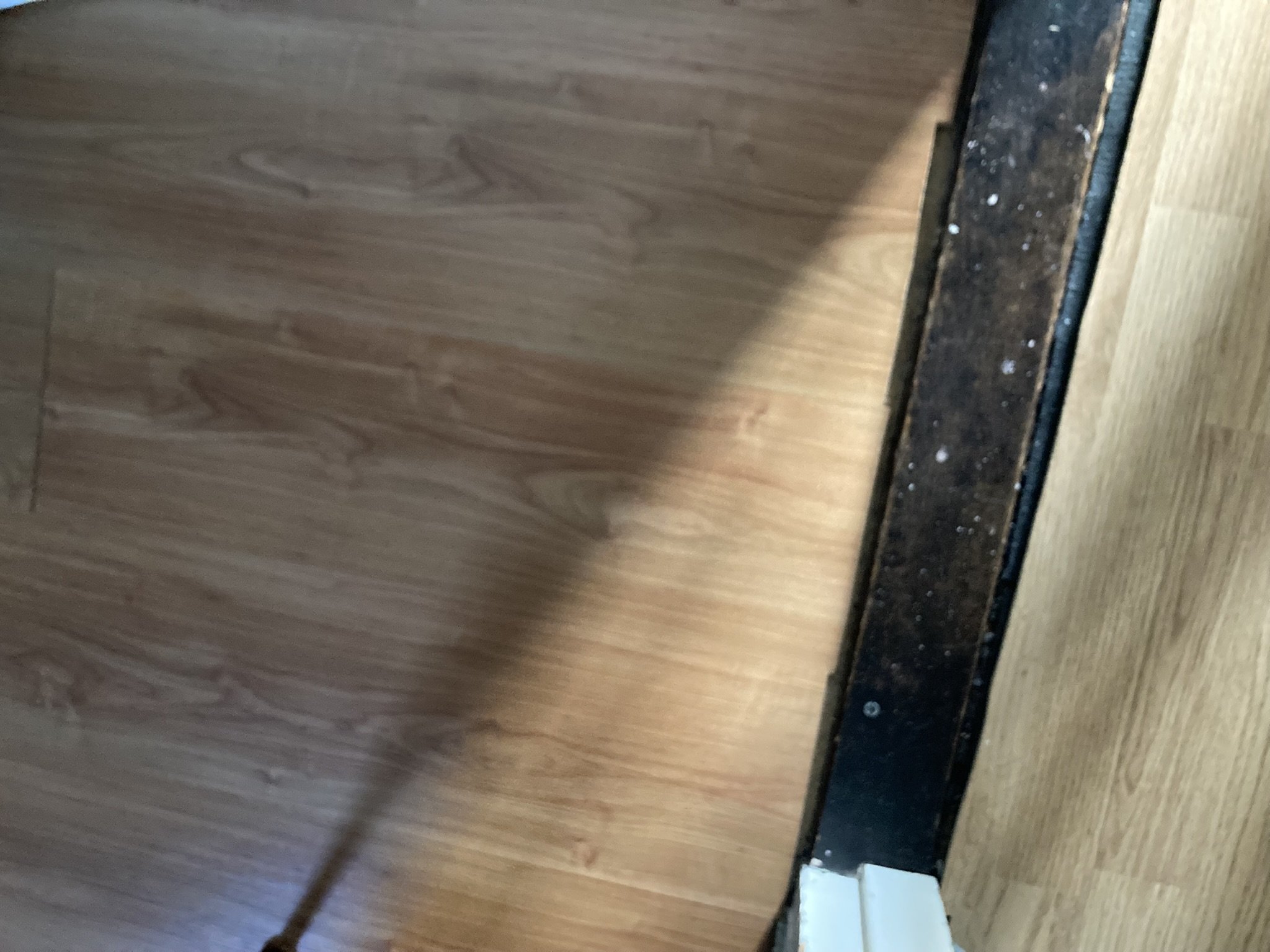 Gerard van Spaendonckstraat 2