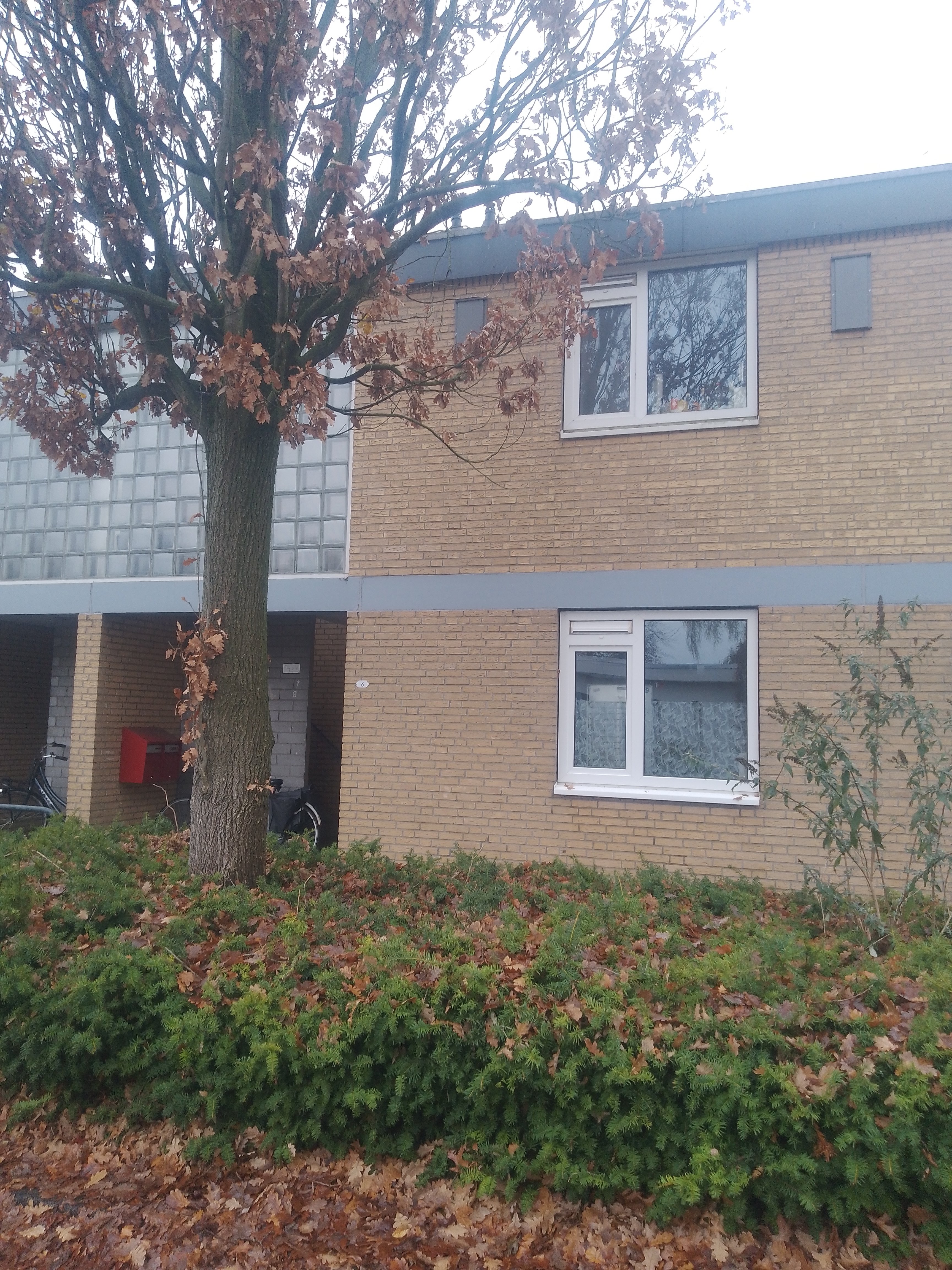 Laurierstraat 8, 5143 ED Waalwijk, Nederland