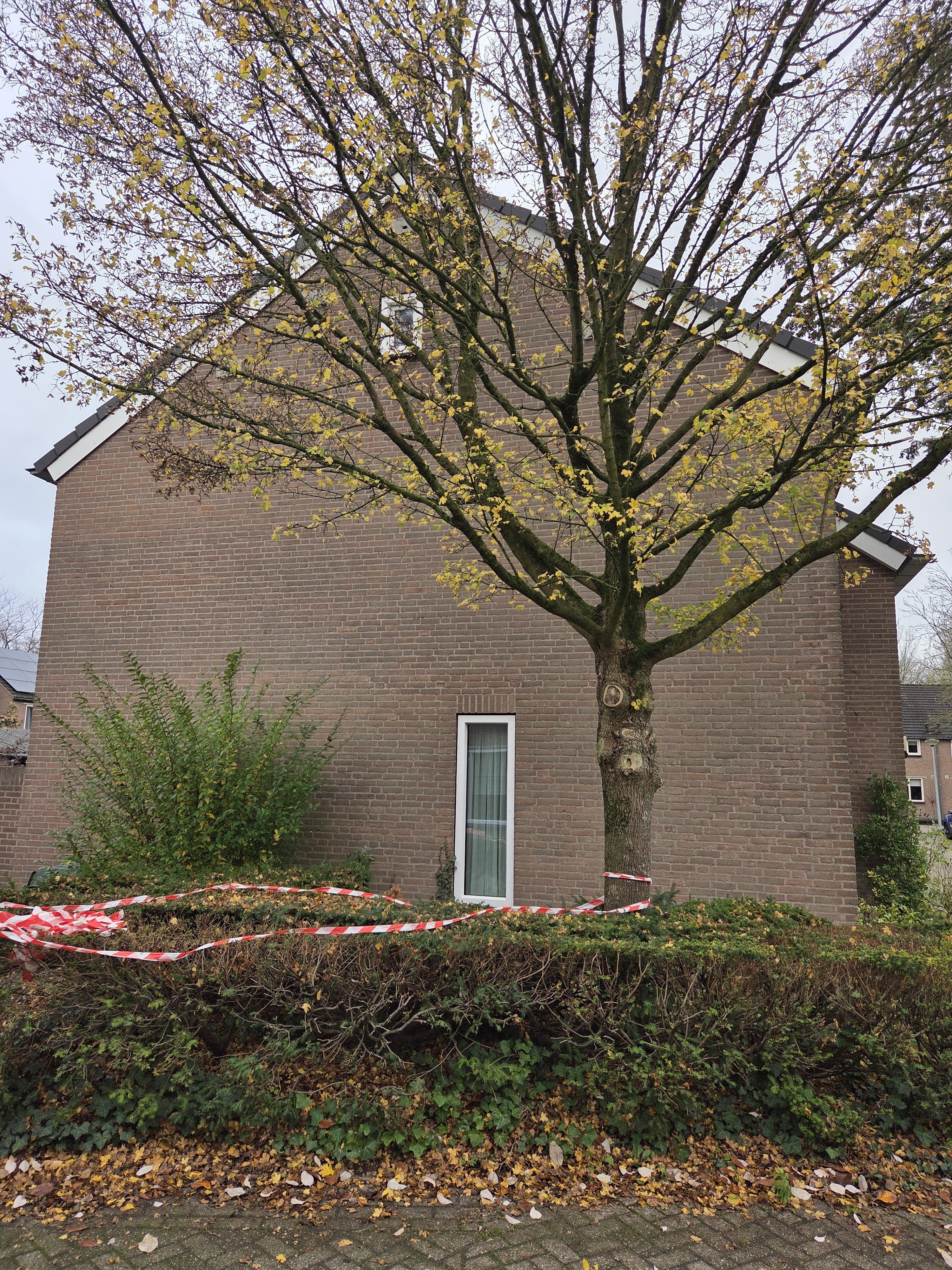 Oude Maasje 20