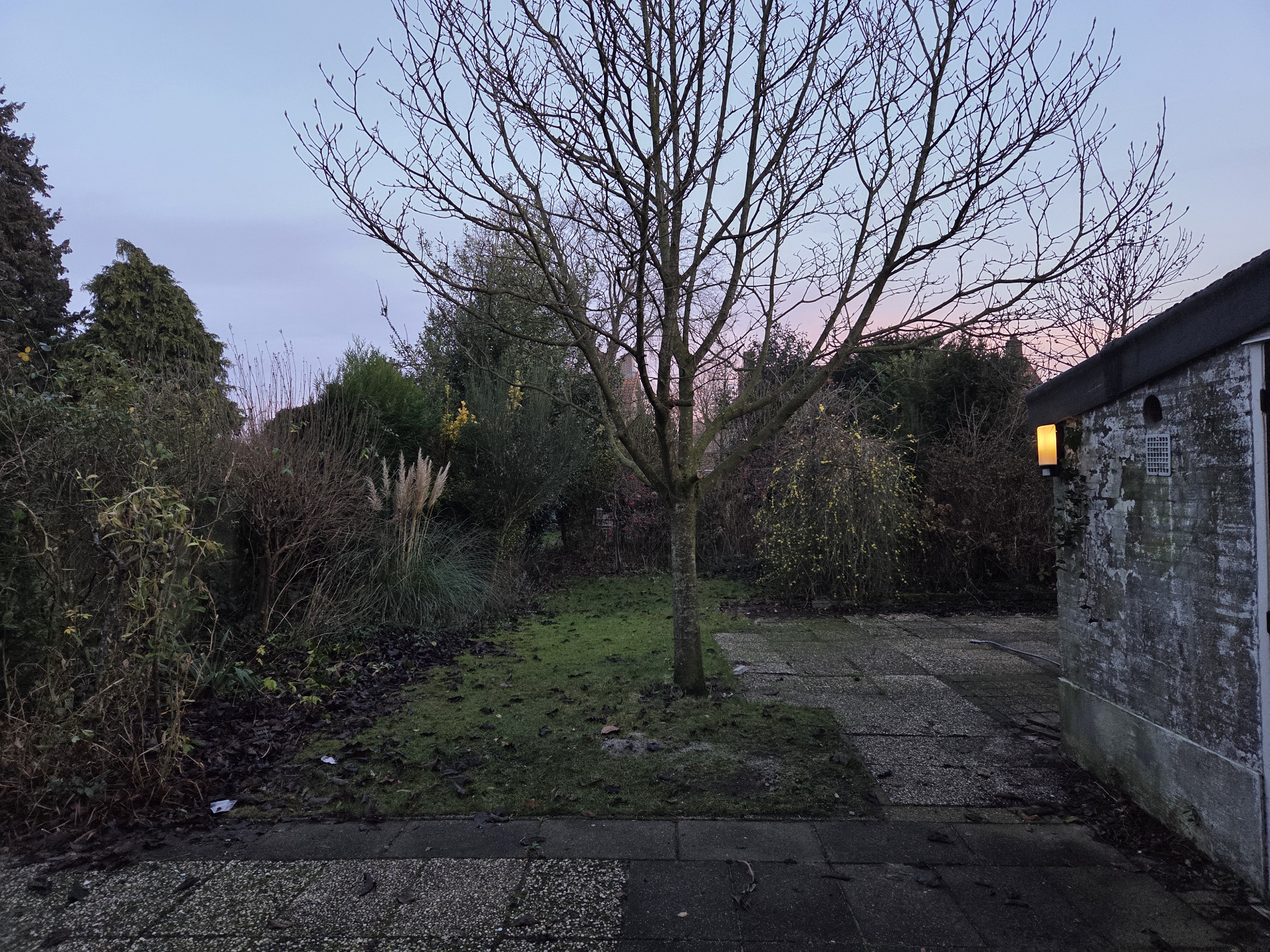 Burgemeester Maeijerstraat 14