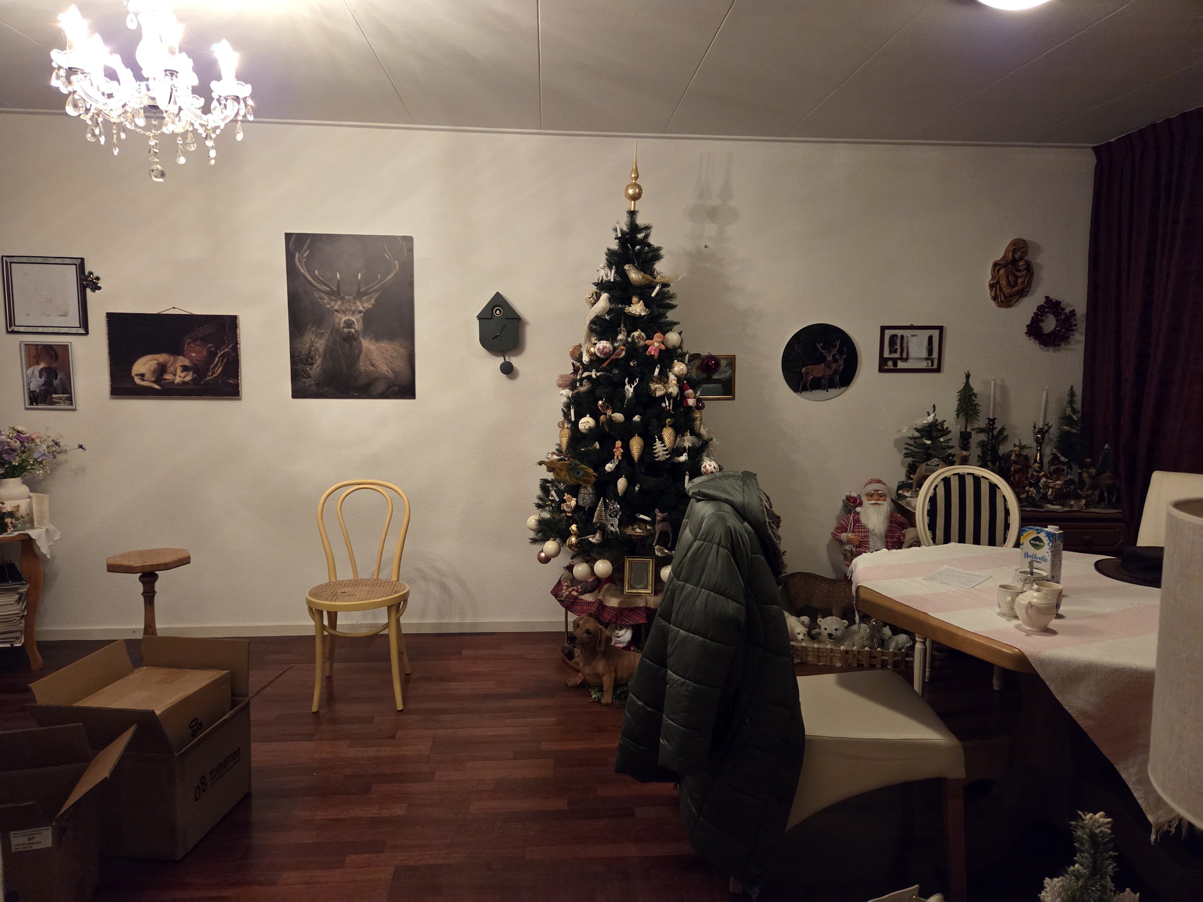 Willem de Zwijgerlaan 24