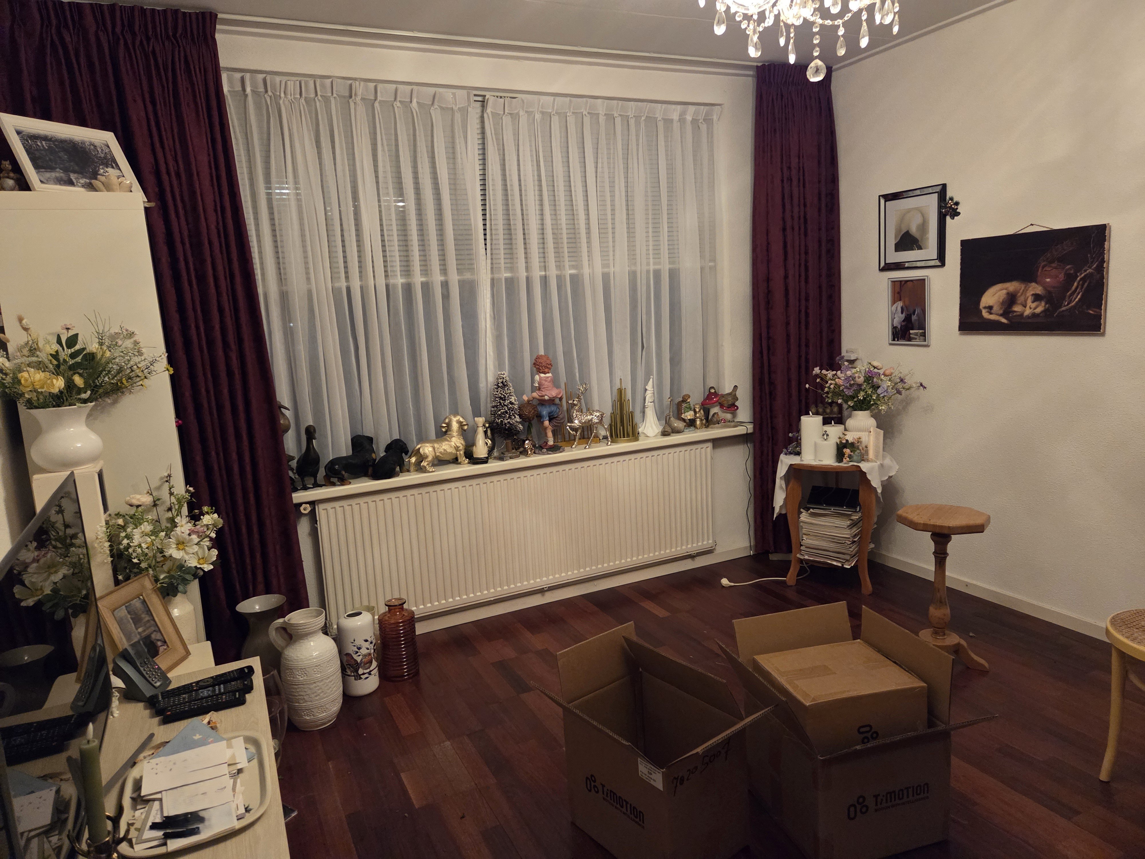 Willem de Zwijgerlaan 24