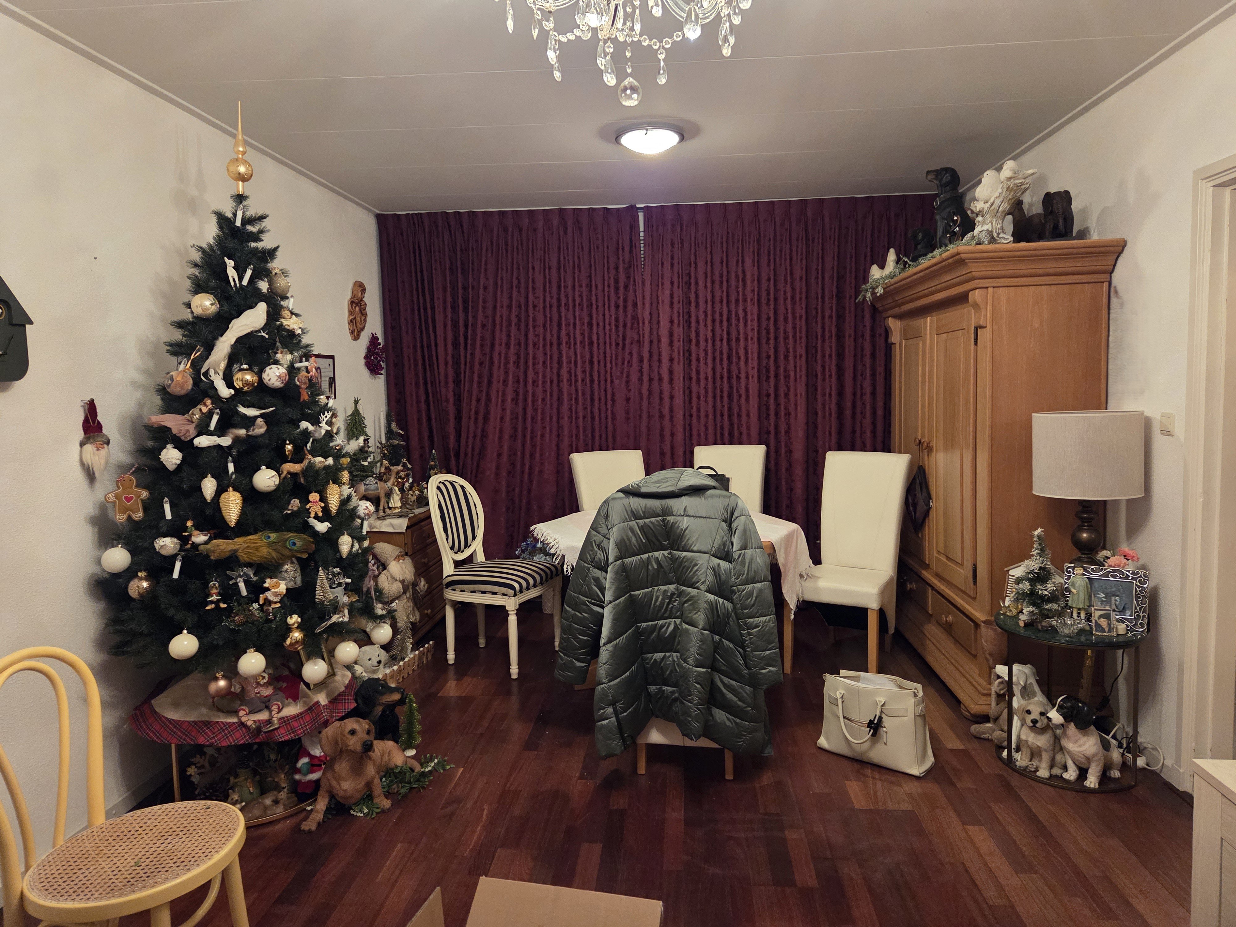 Willem de Zwijgerlaan 24