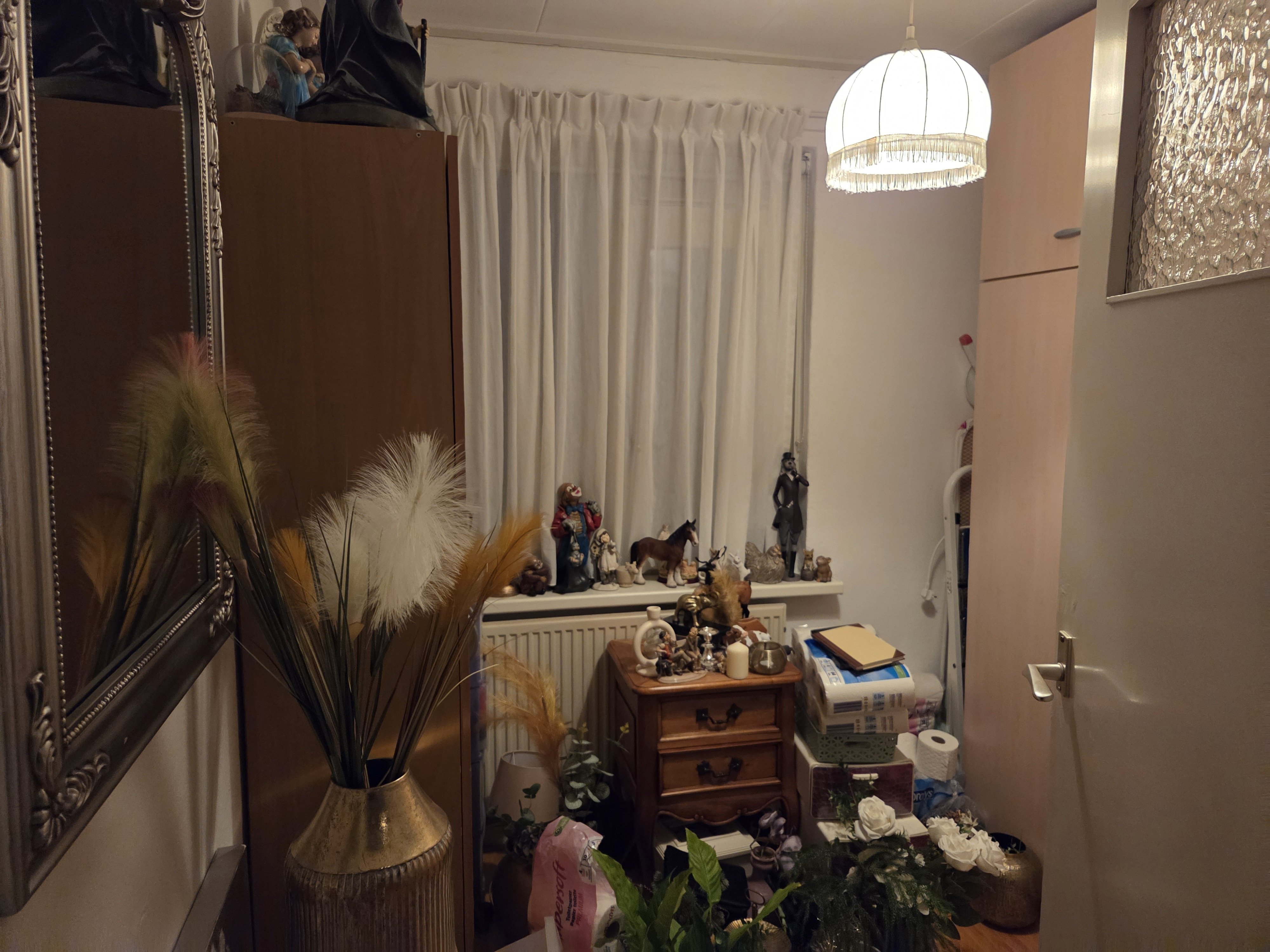 Willem de Zwijgerlaan 24