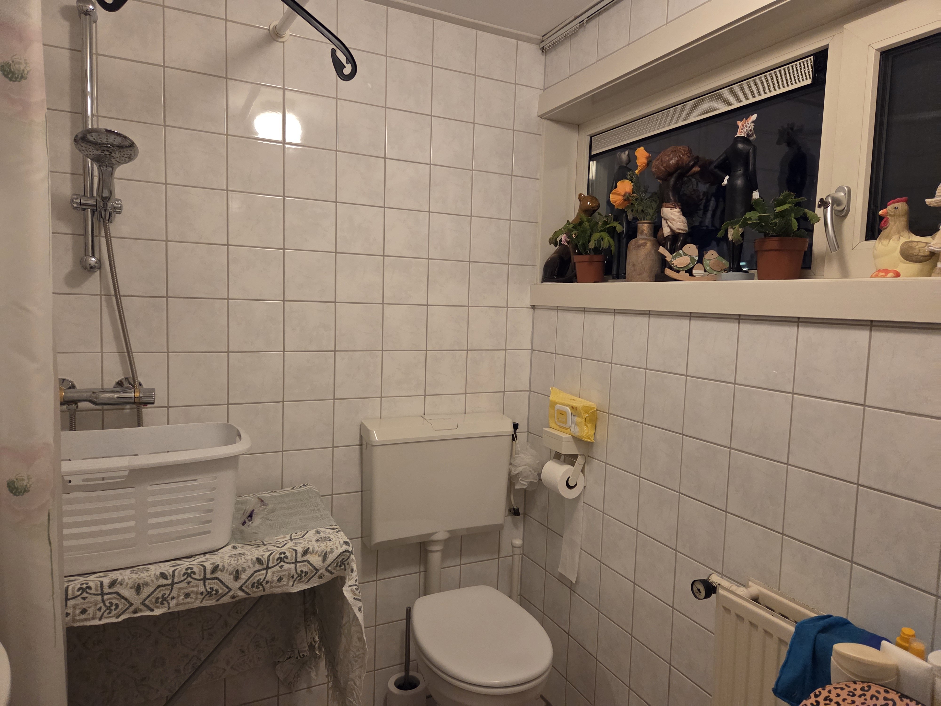 Willem de Zwijgerlaan 24