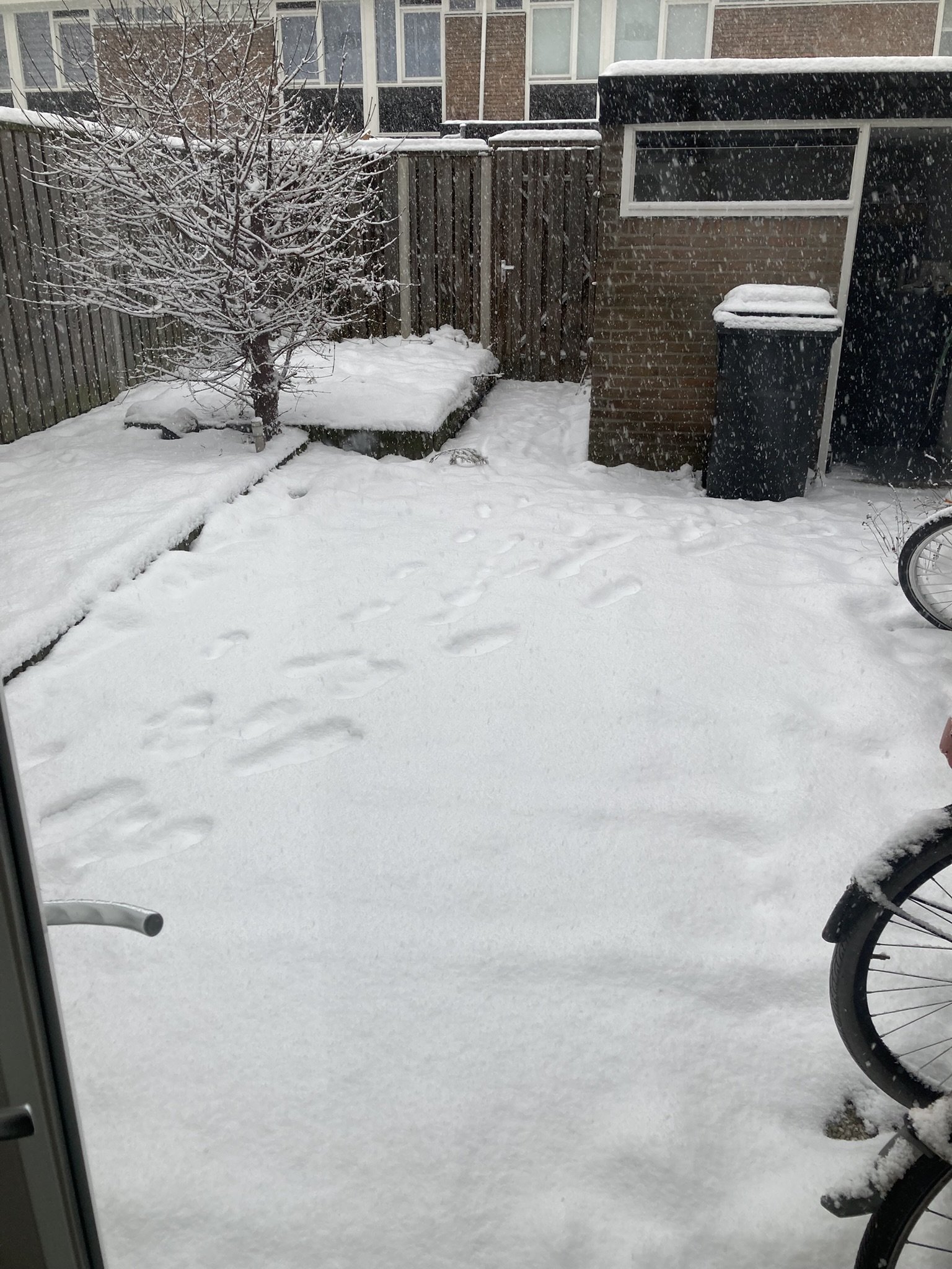 Antonius Struijckenstraat 3