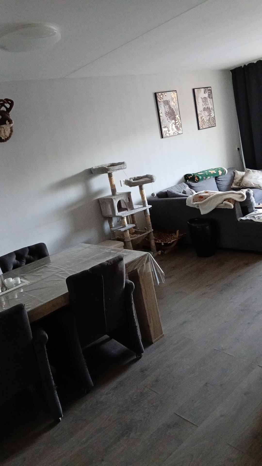 Karpatenlaan 29, 5022 GK Tilburg, Nederland