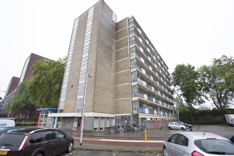 Alleenhouderstraat 196, 5041 LH Tilburg, Nederland