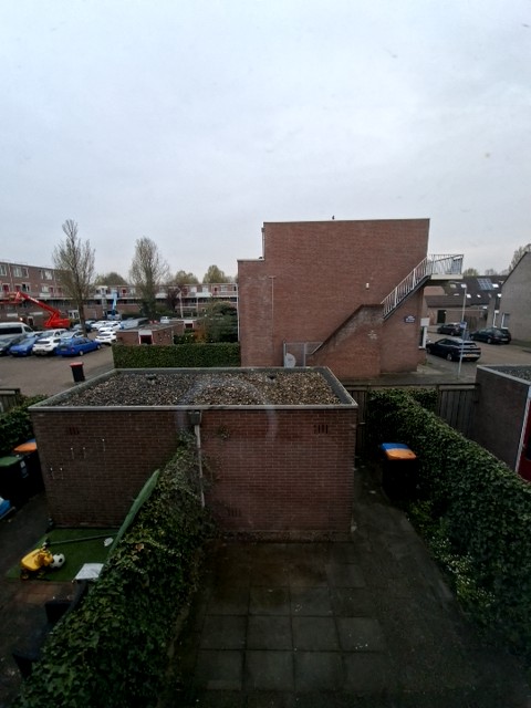 Rentmeesterlaan 79