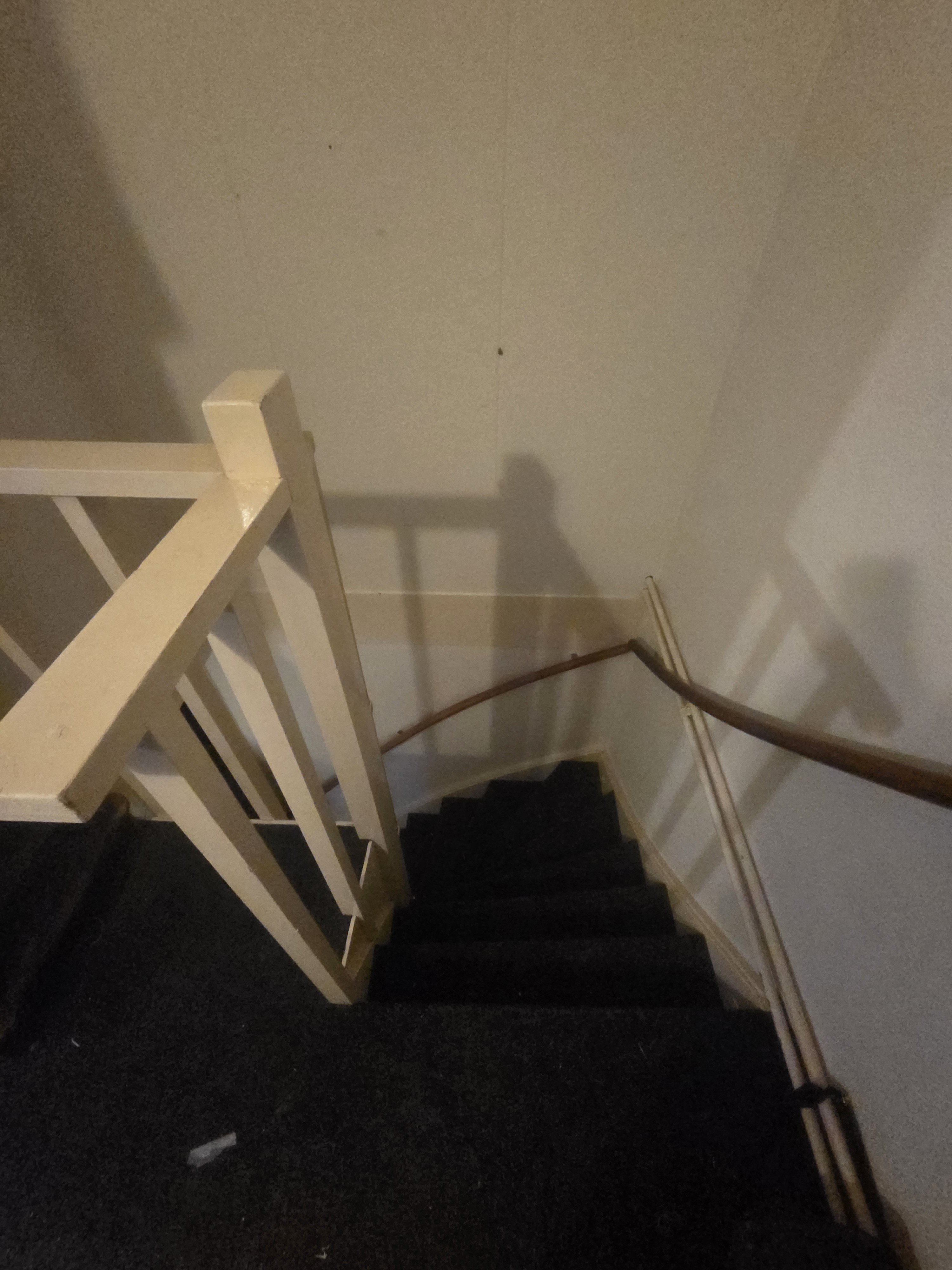 Helene Swarthdreef 10