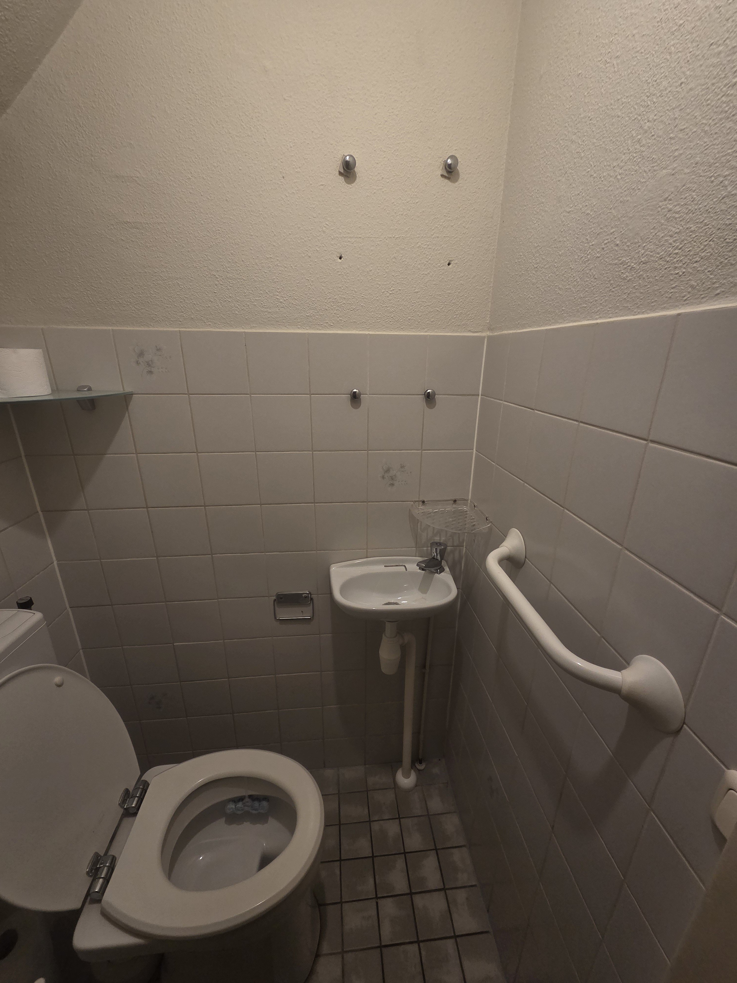 Helene Swarthdreef 10