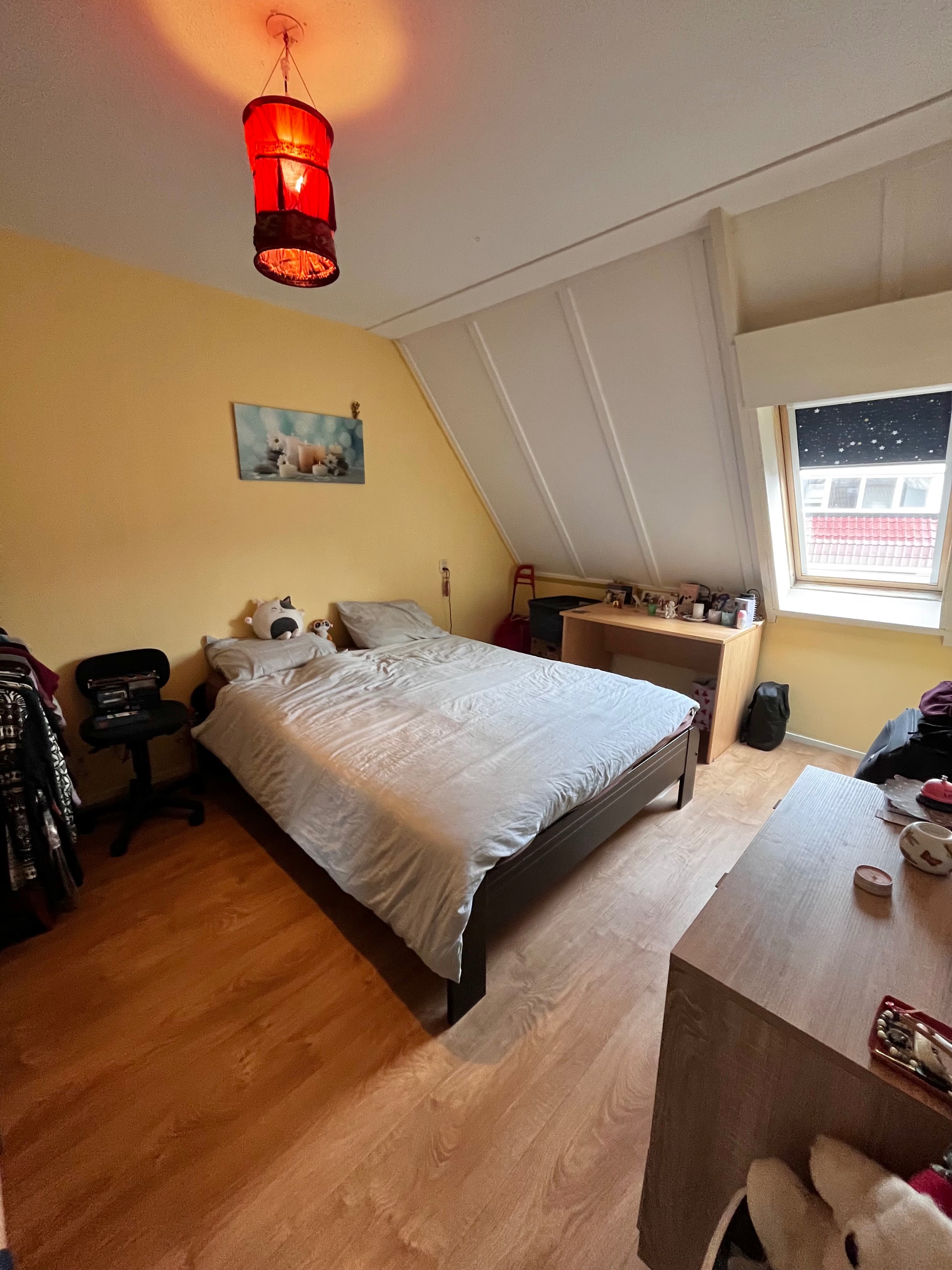 Willem Passtoorsstraat 20