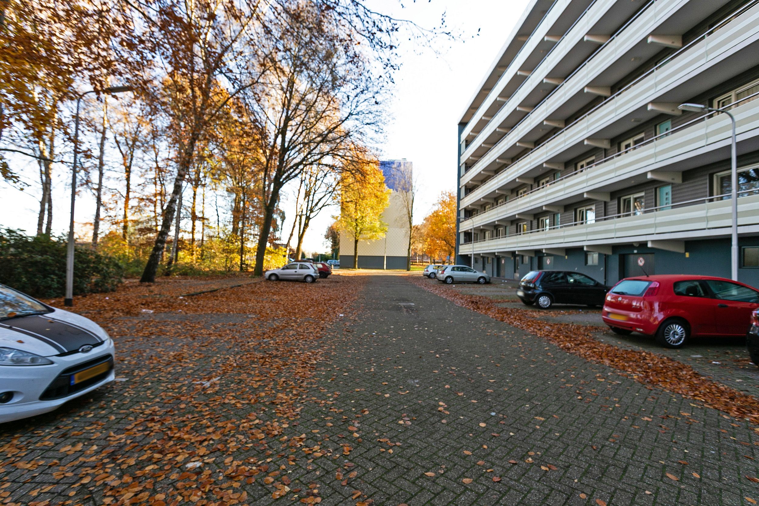 Kapelmeesterlaan 477