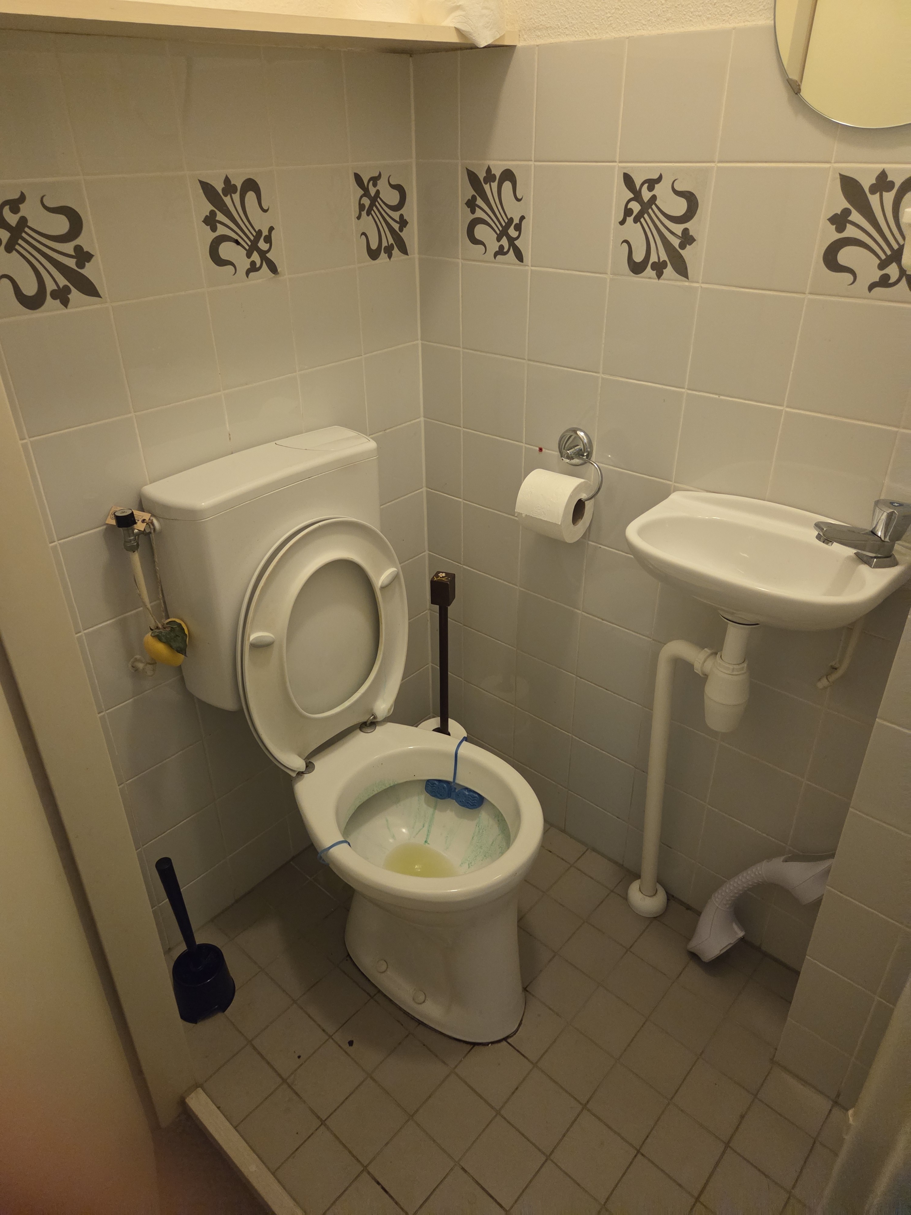 Truitje Toussaintdreef 7