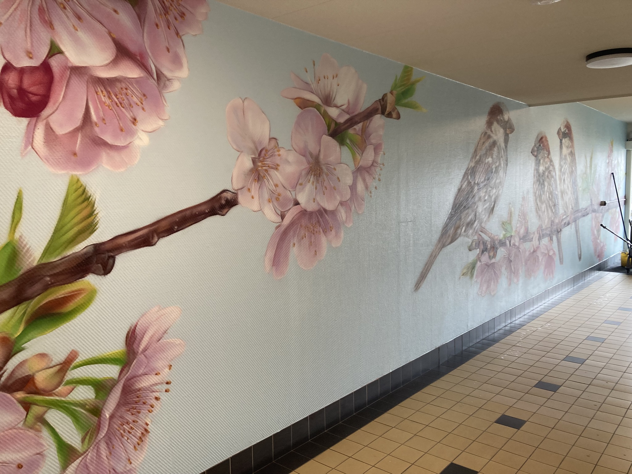 Albertus Magnusstraat 65