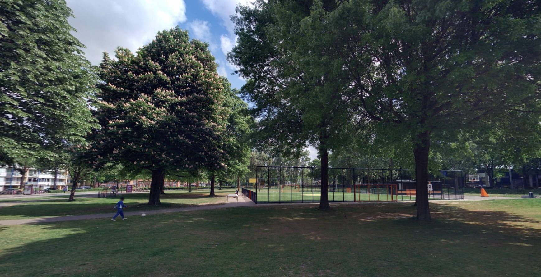 Van Renesse van Baarstraat 8