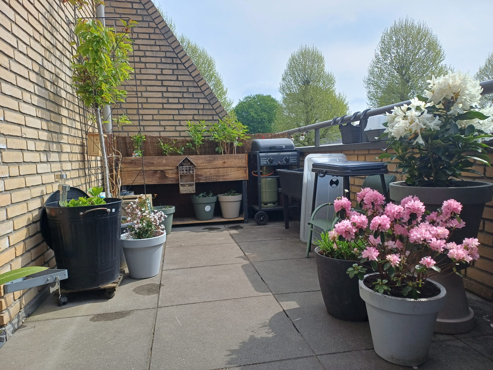 Pieter Vreedestraat 33, 5142 SB Waalwijk, Nederland