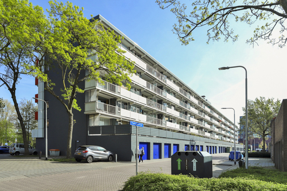 Hart van Brabantlaan 810